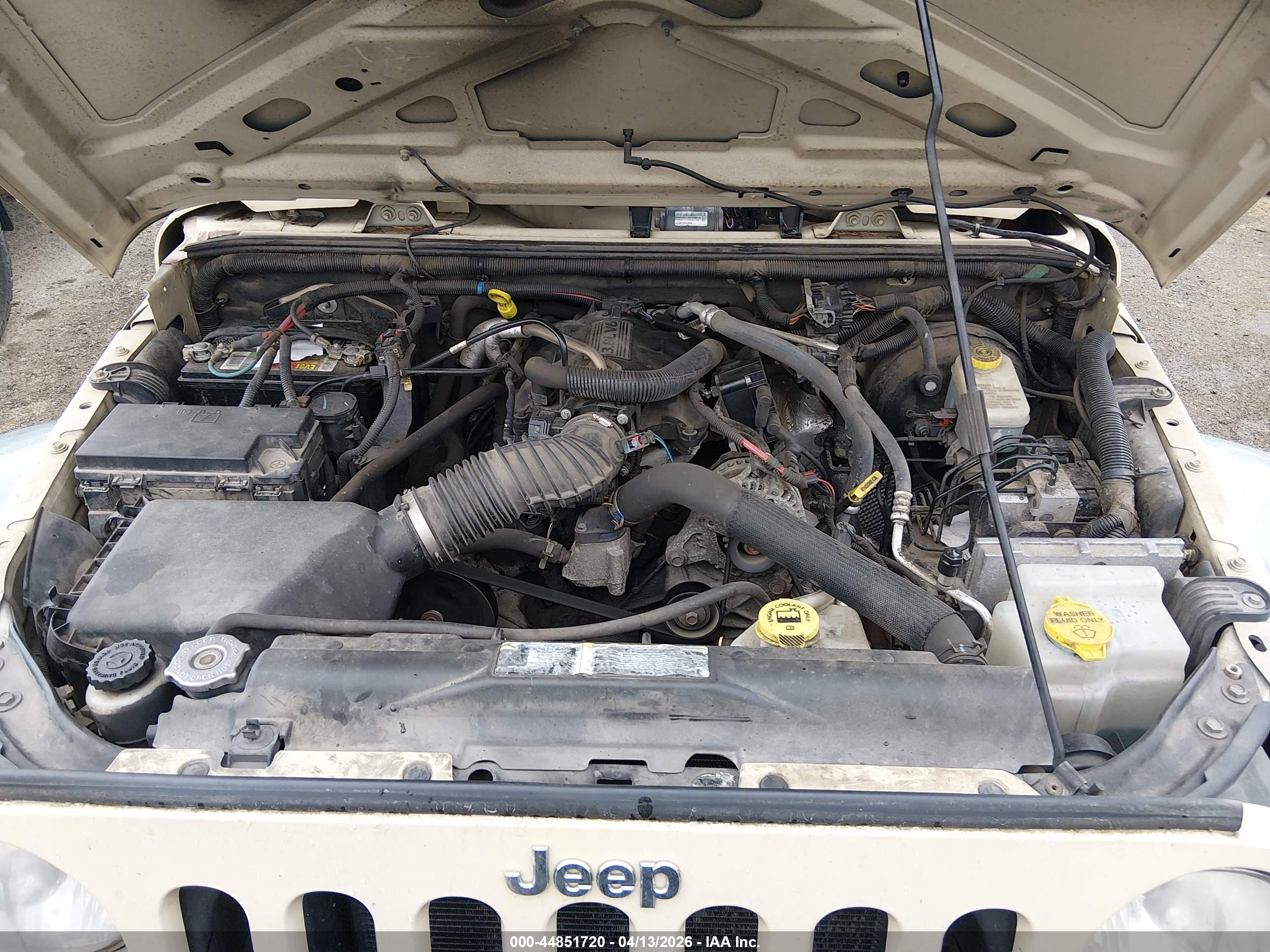 JEEP WRANGLER image 10