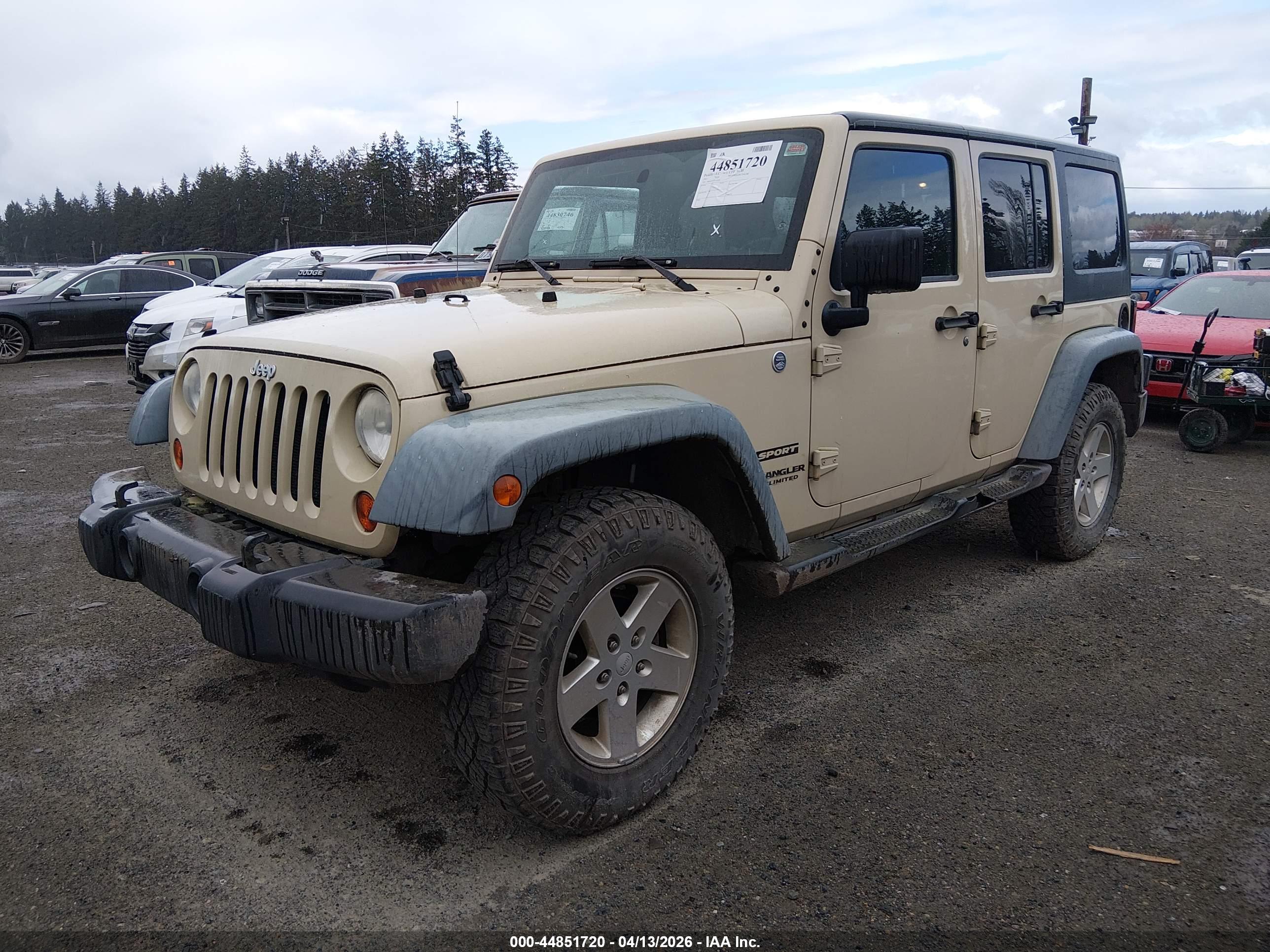 JEEP WRANGLER image 2