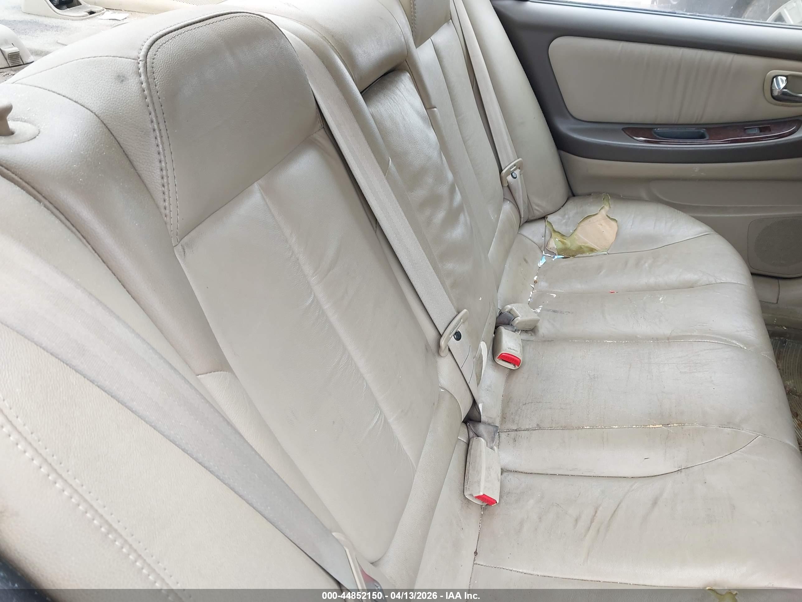 NISSAN MAXIMA image 8