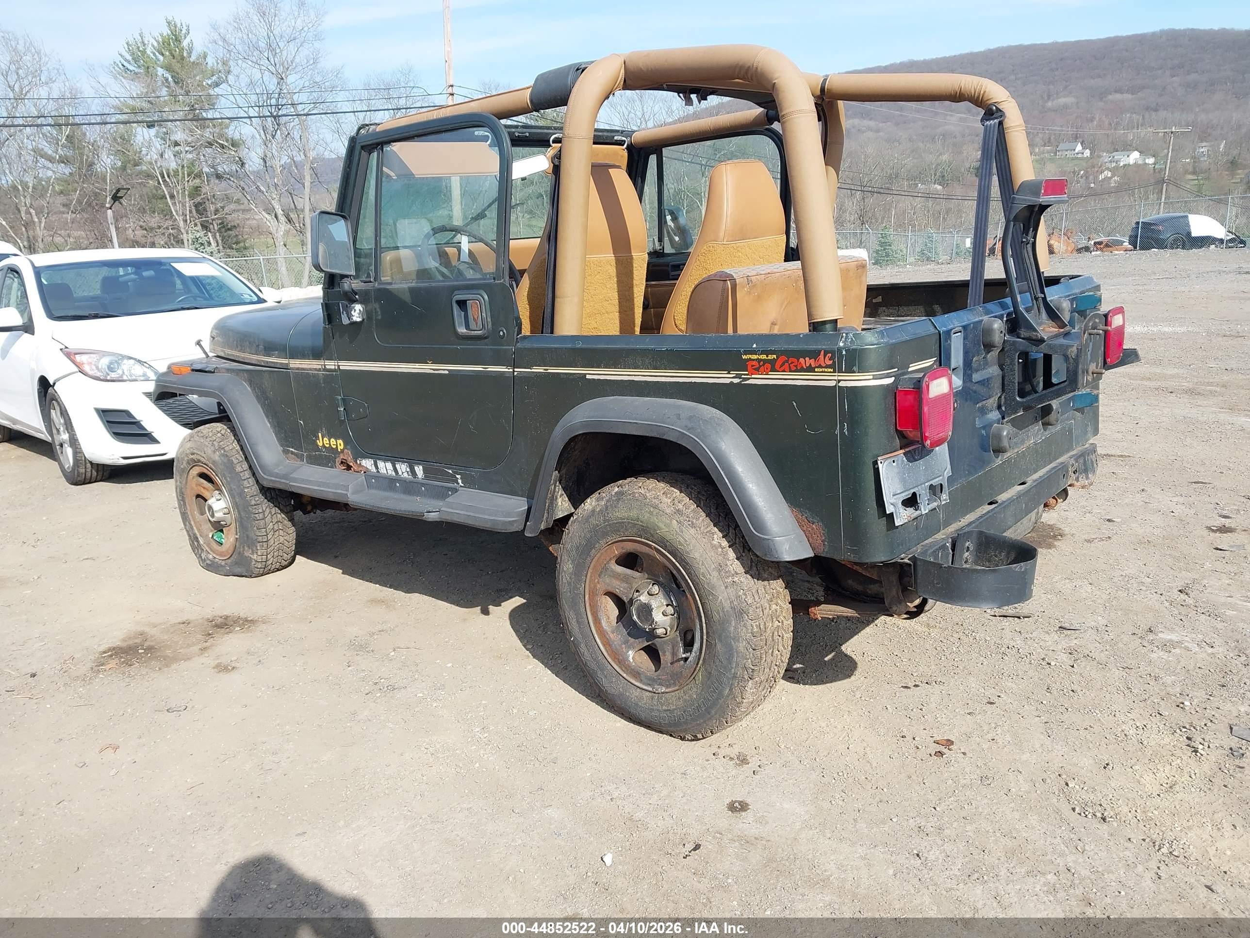 JEEP WRANGLER image 3