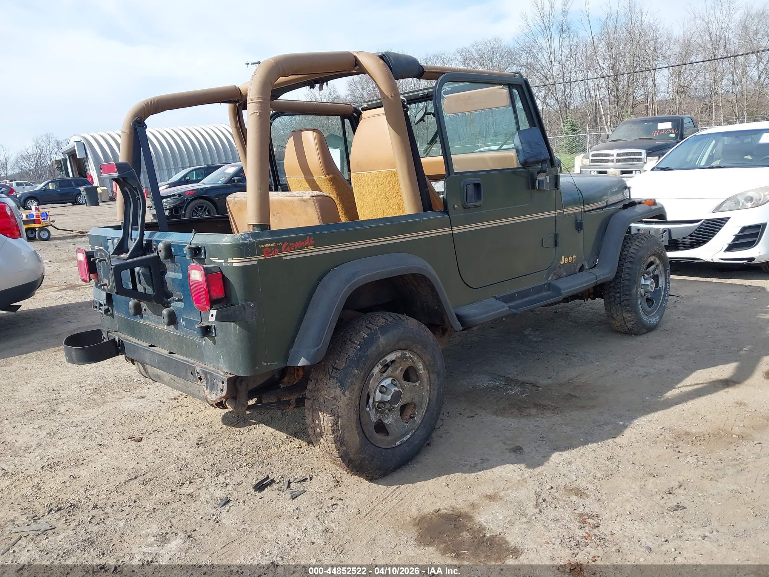 JEEP WRANGLER image 4