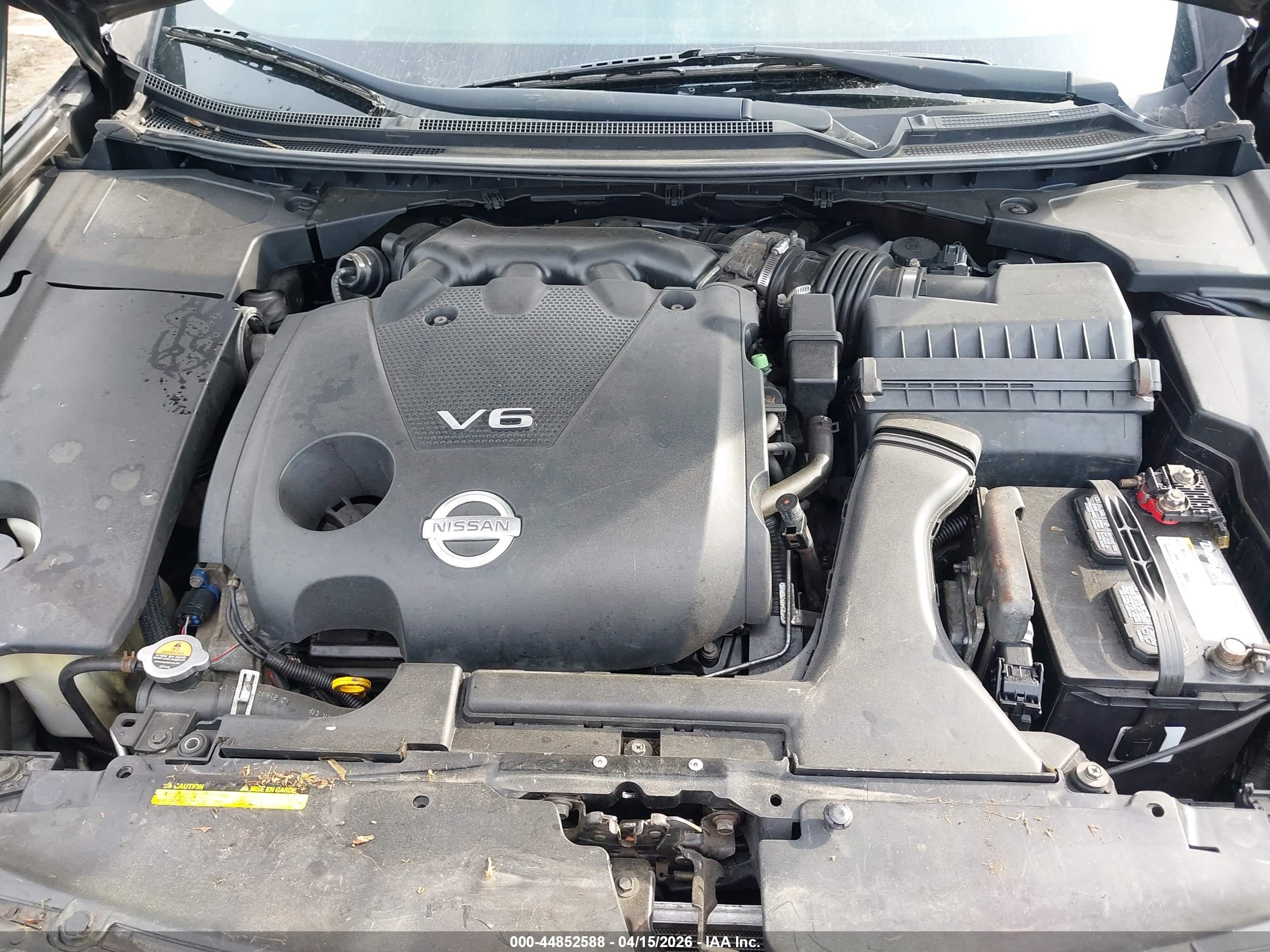 NISSAN MAXIMA image 10