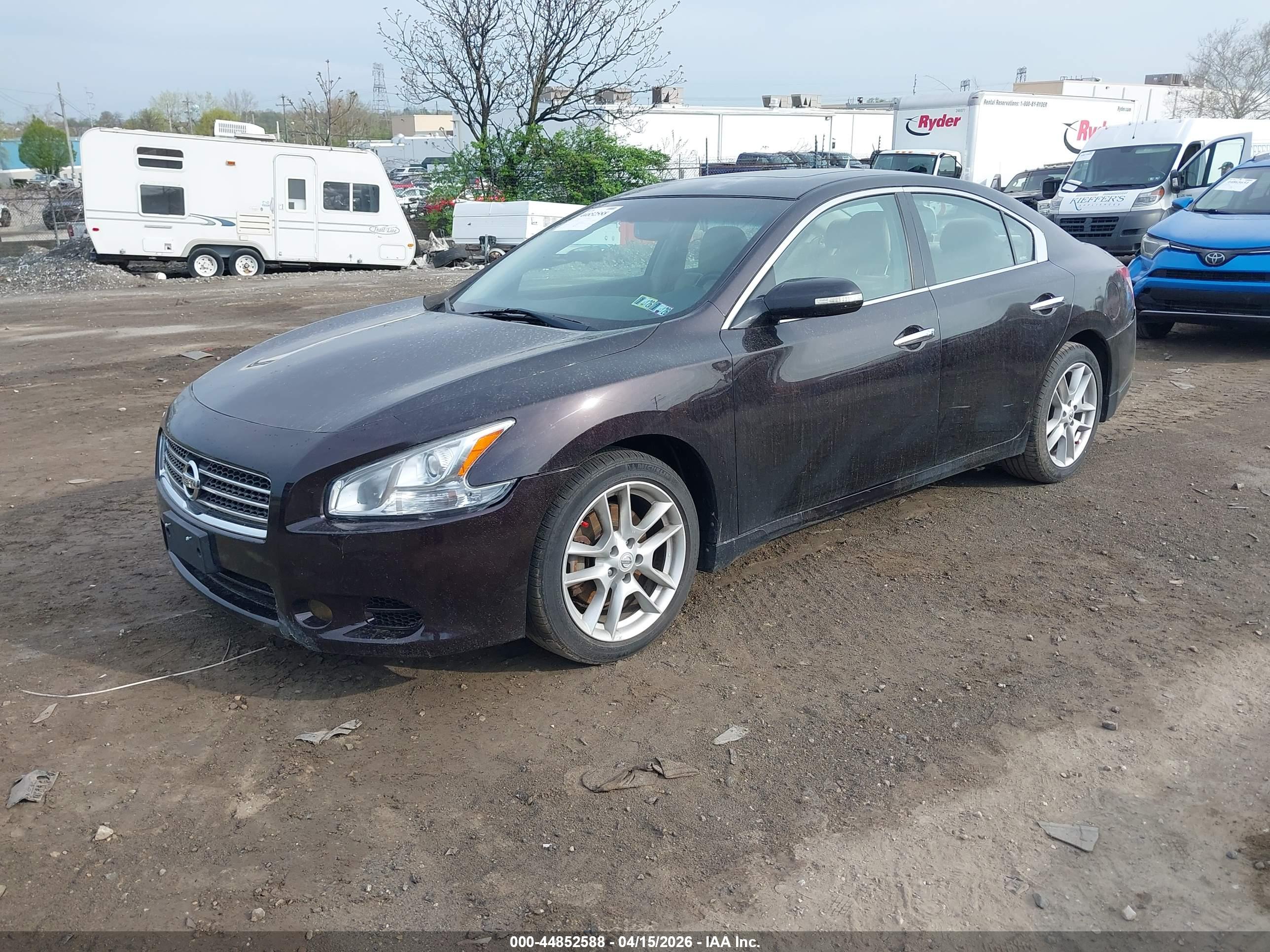 NISSAN MAXIMA image 2