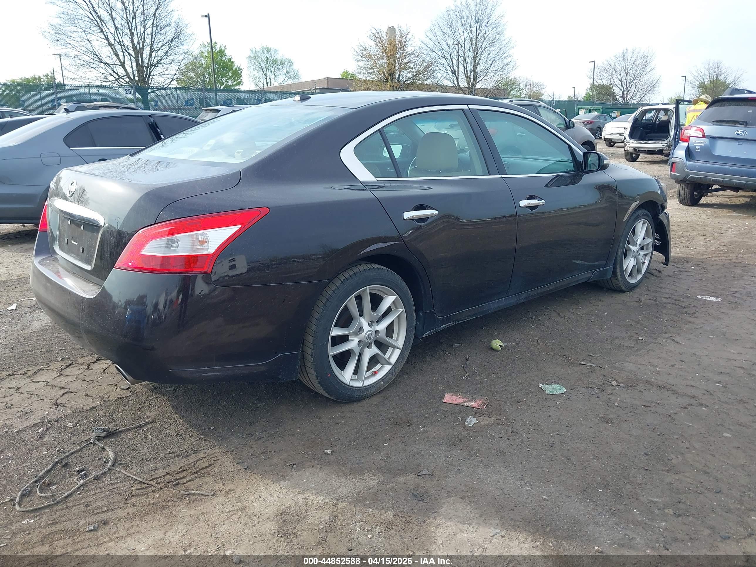 NISSAN MAXIMA image 4