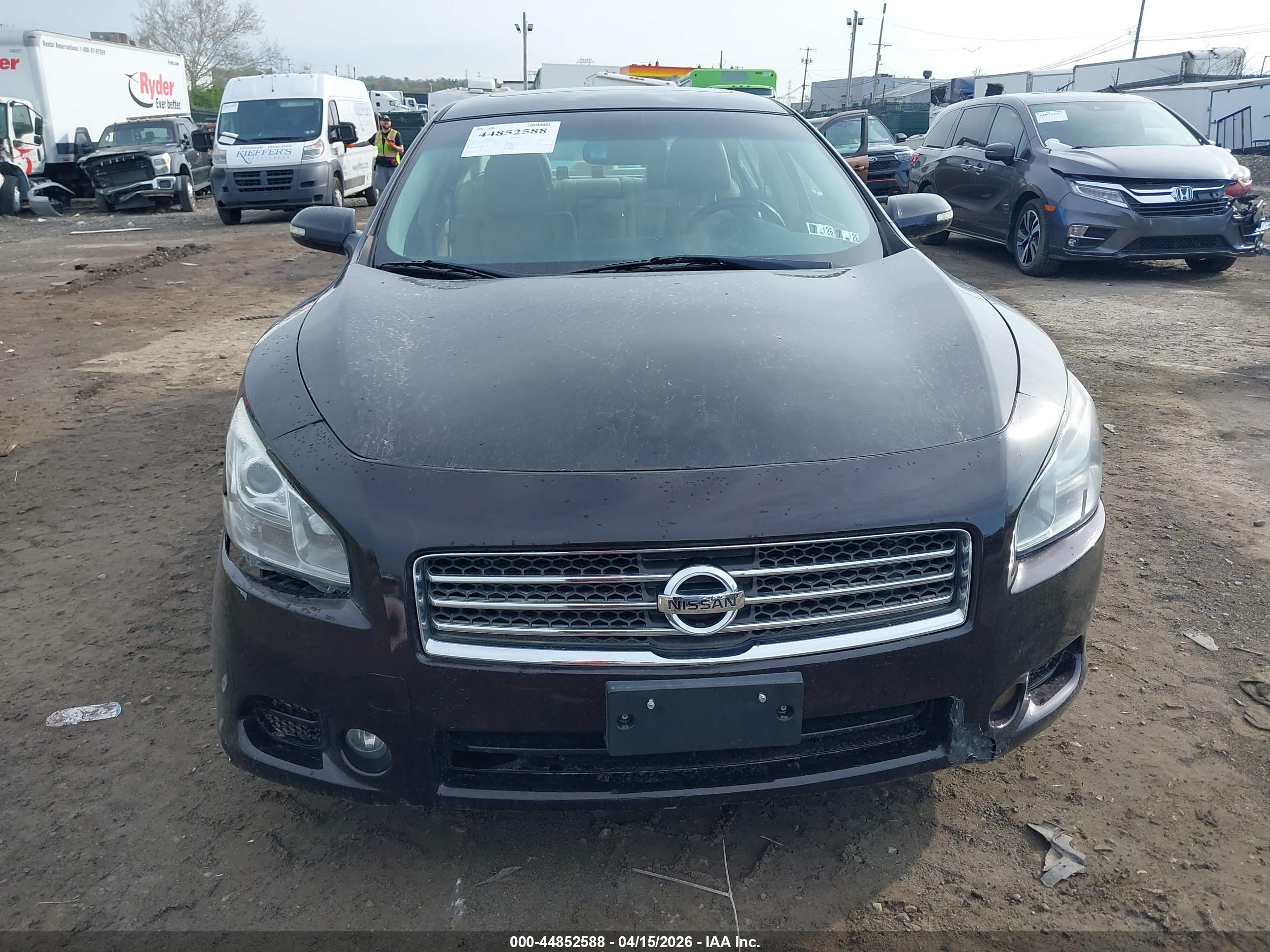 NISSAN MAXIMA image 6