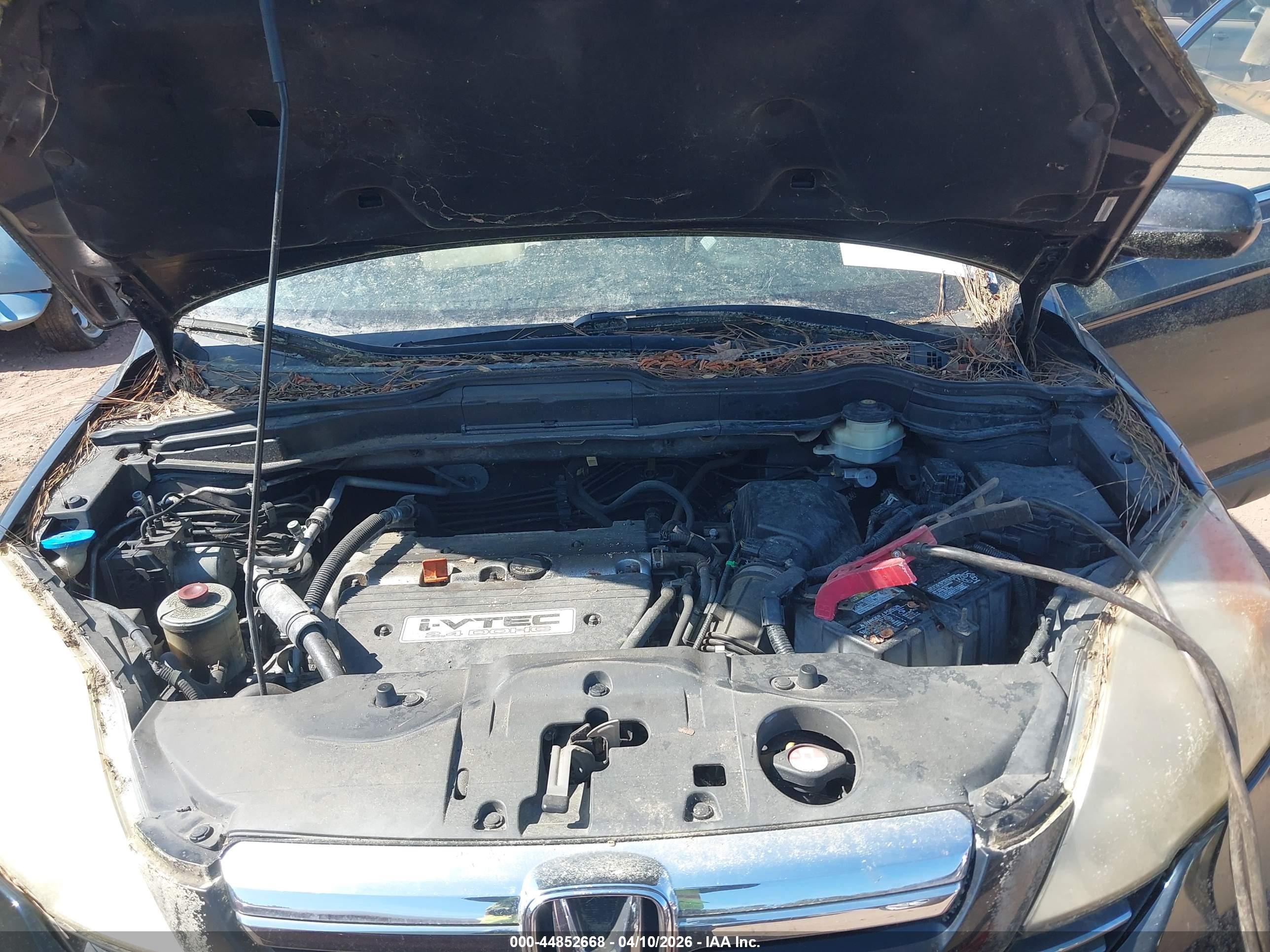 HONDA CR-V image 10