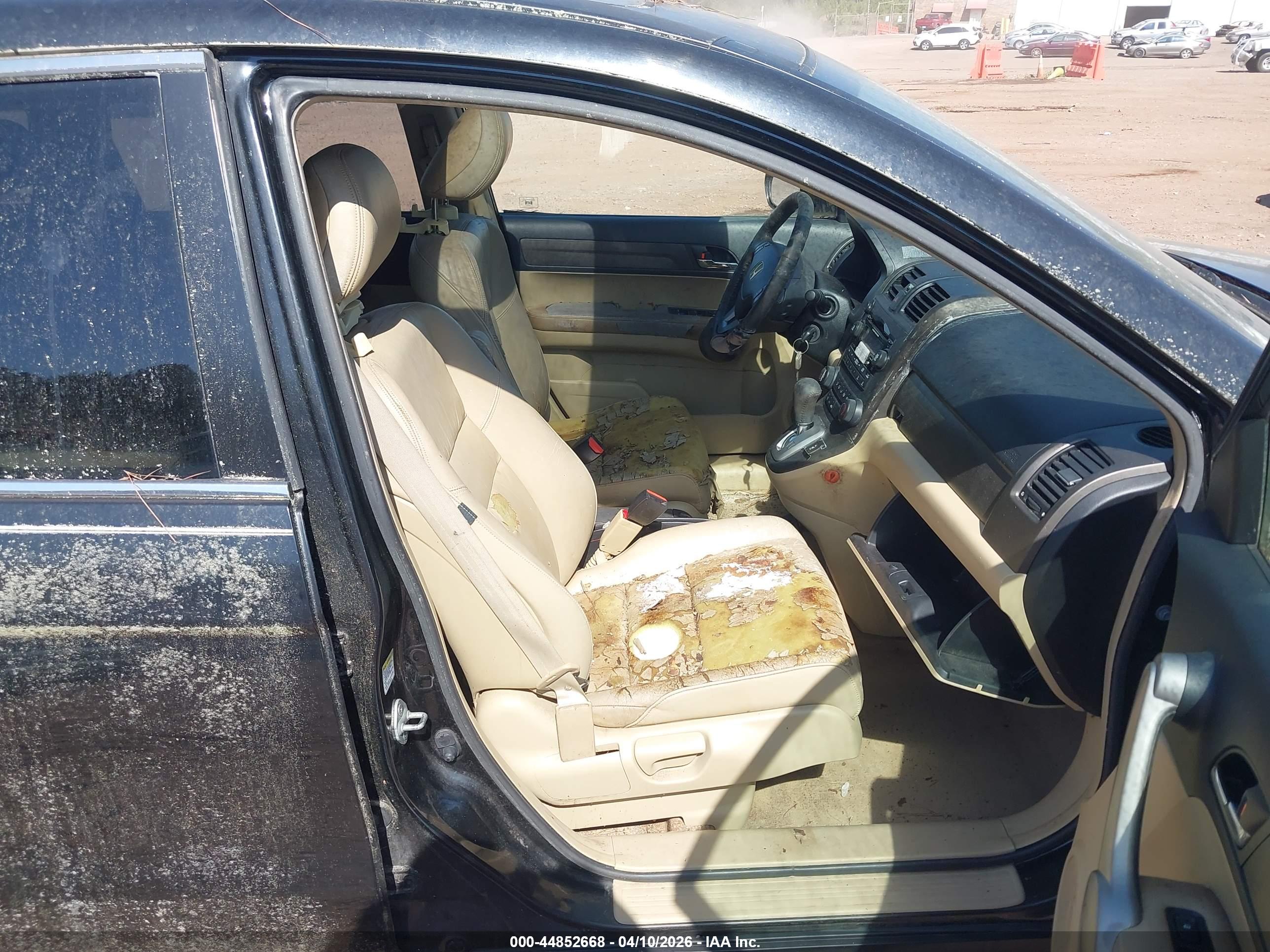 HONDA CR-V image 5