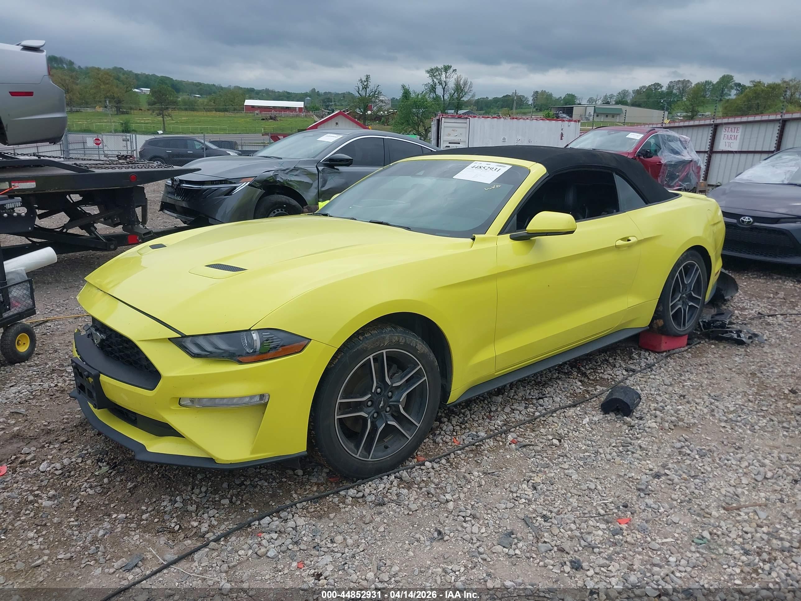 FORD MUSTANG image 2
