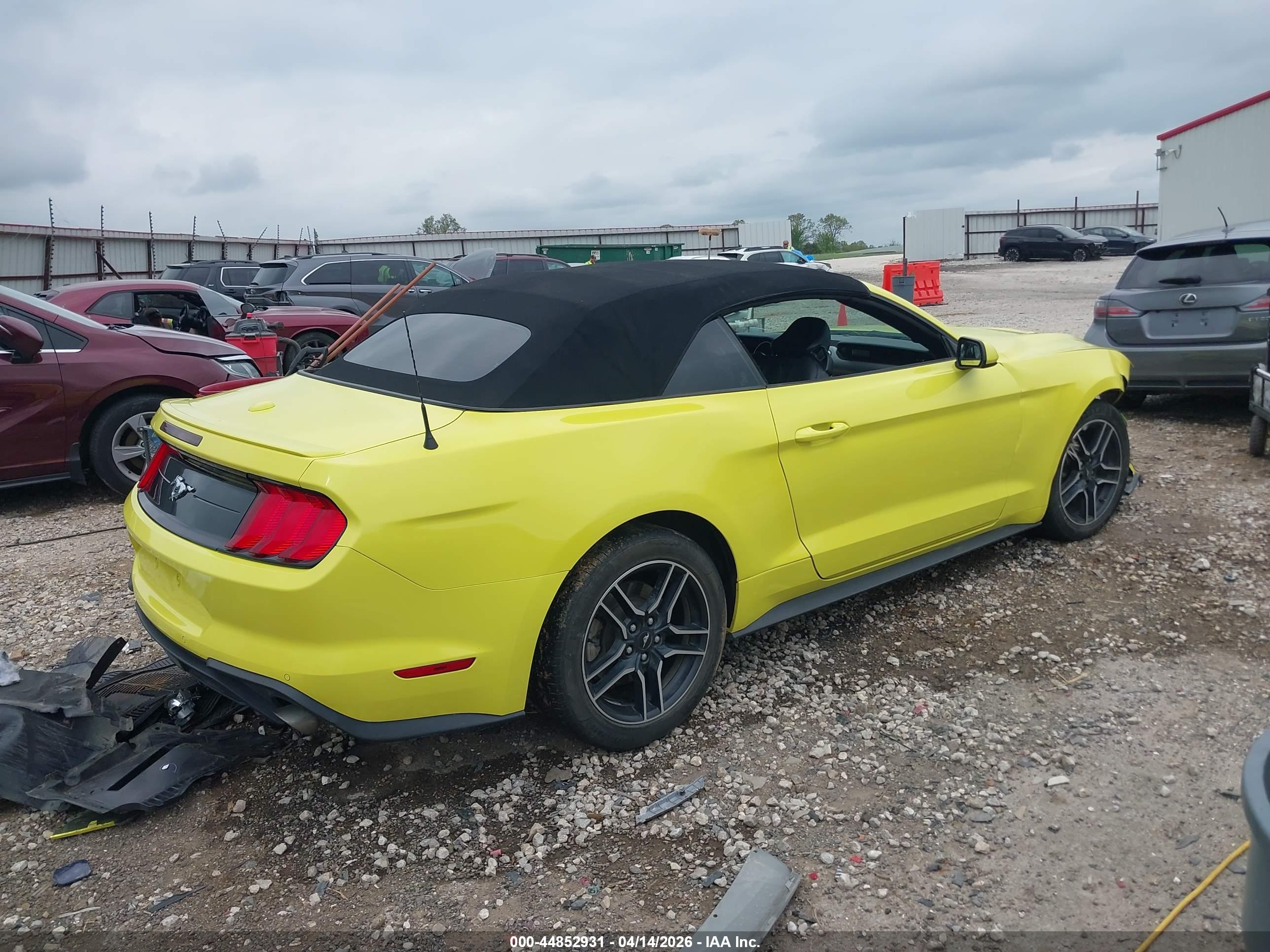 FORD MUSTANG image 4
