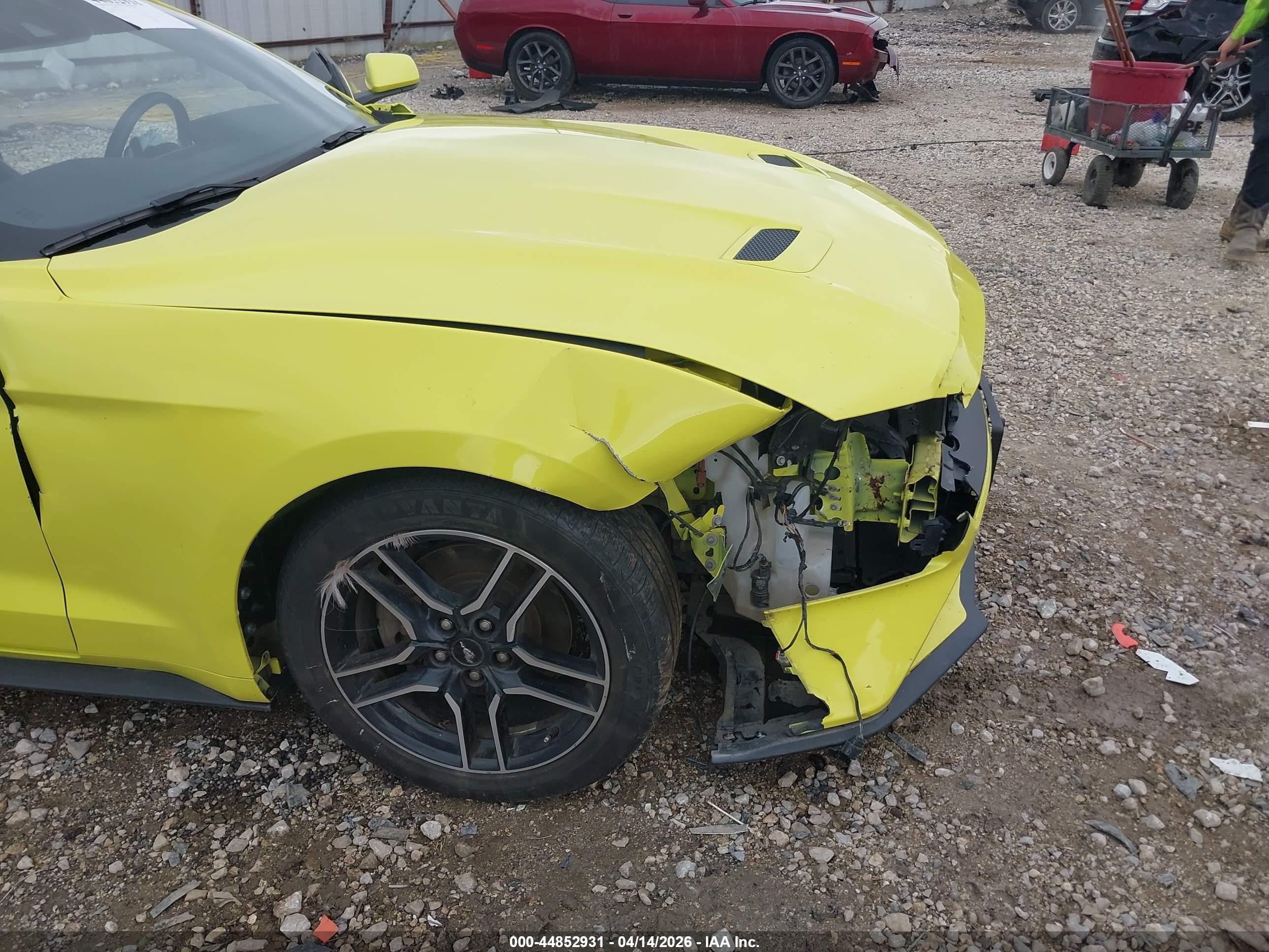 FORD MUSTANG image 6