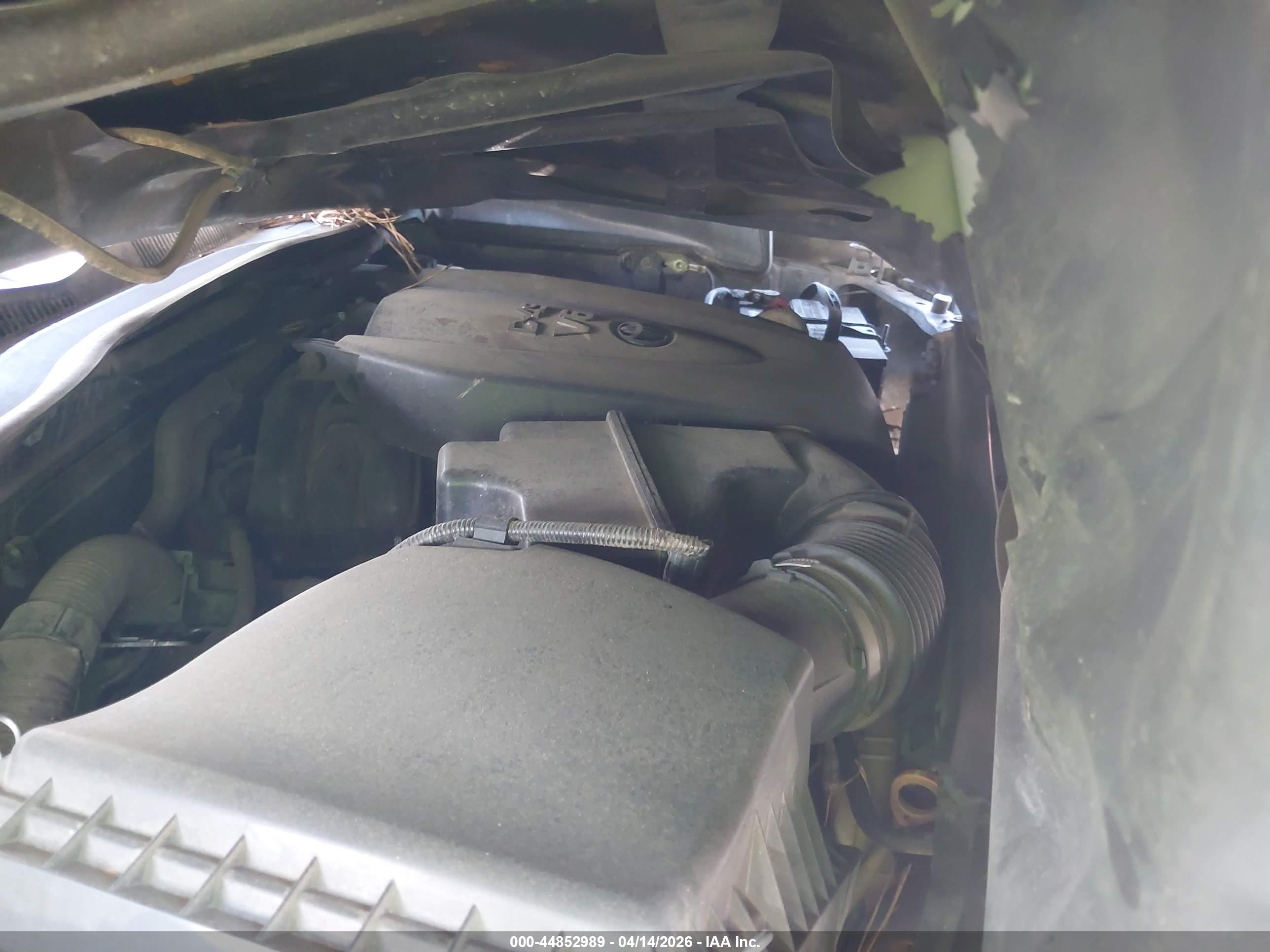 TOYOTA TACOMA image 10
