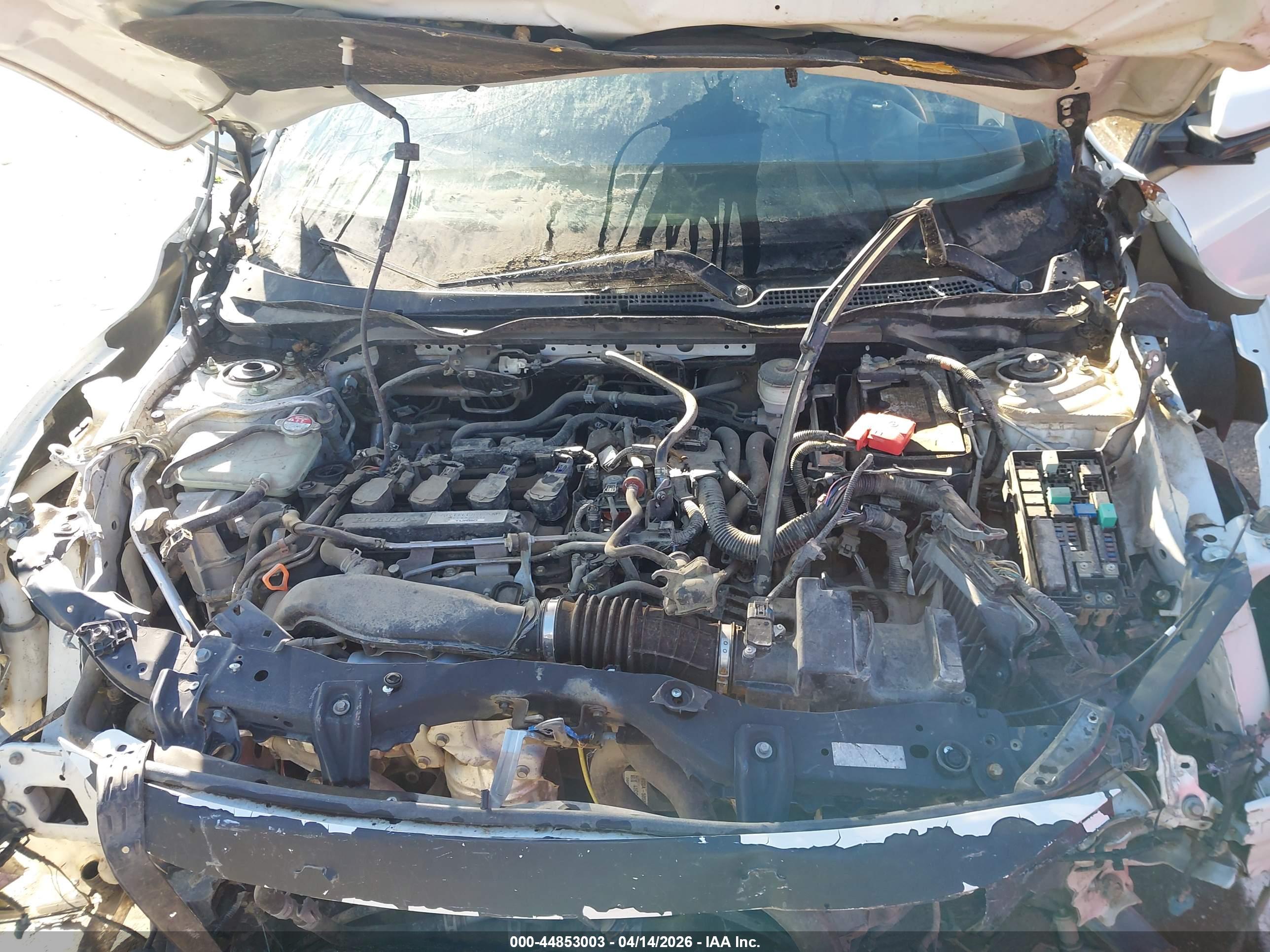 HONDA CIVIC image 10