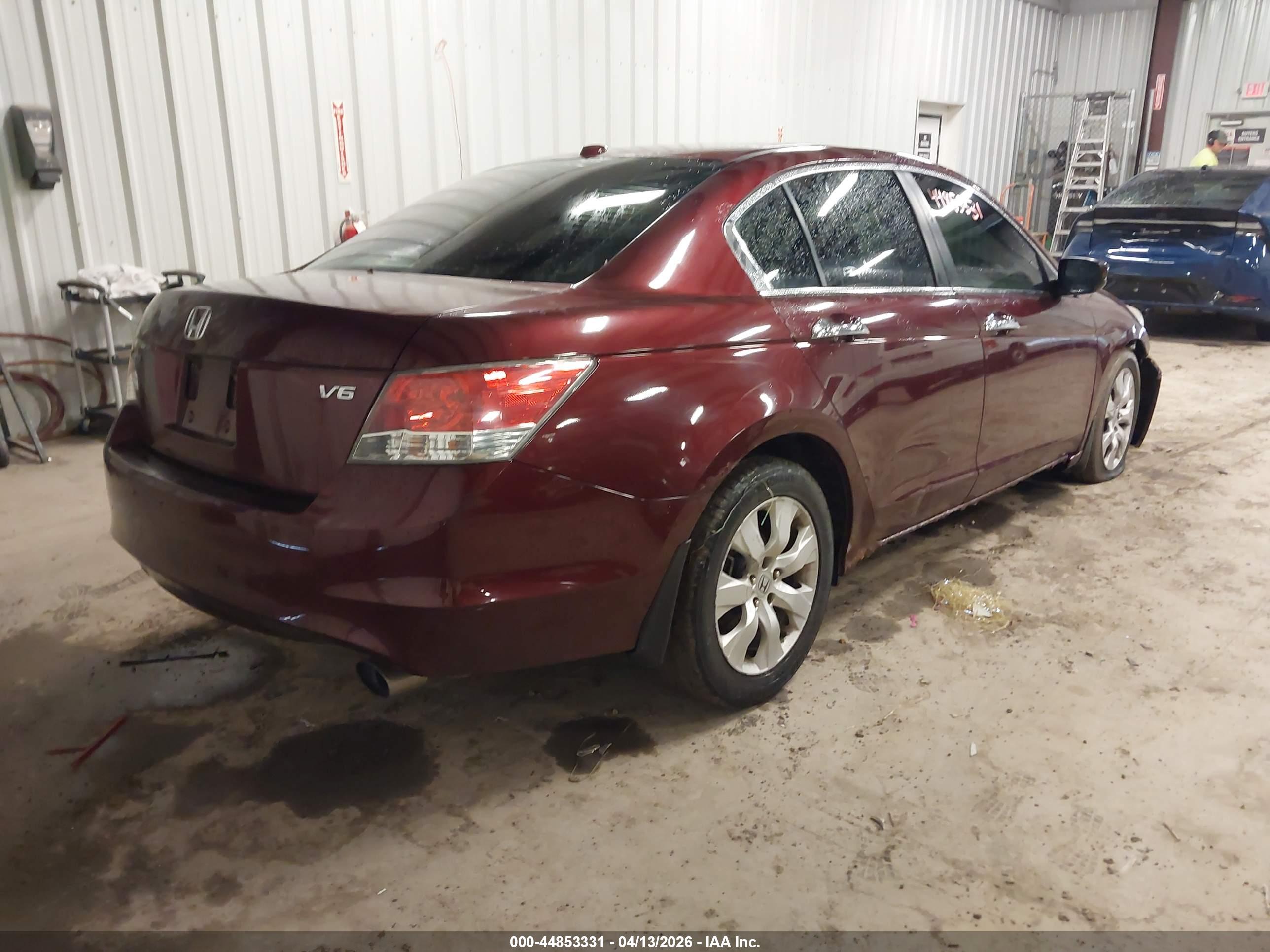 HONDA ACCORD image 4