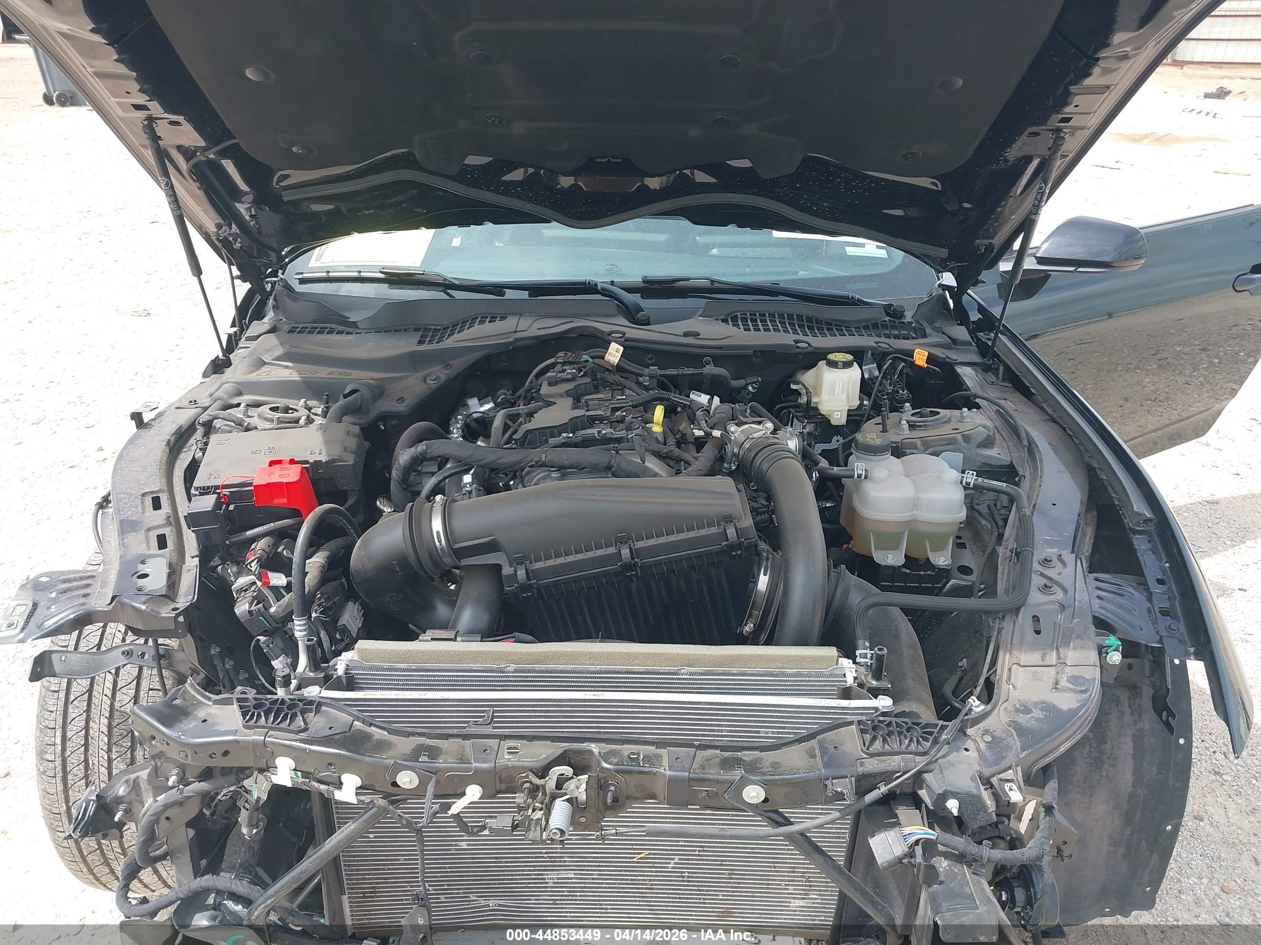 FORD MUSTANG image 10