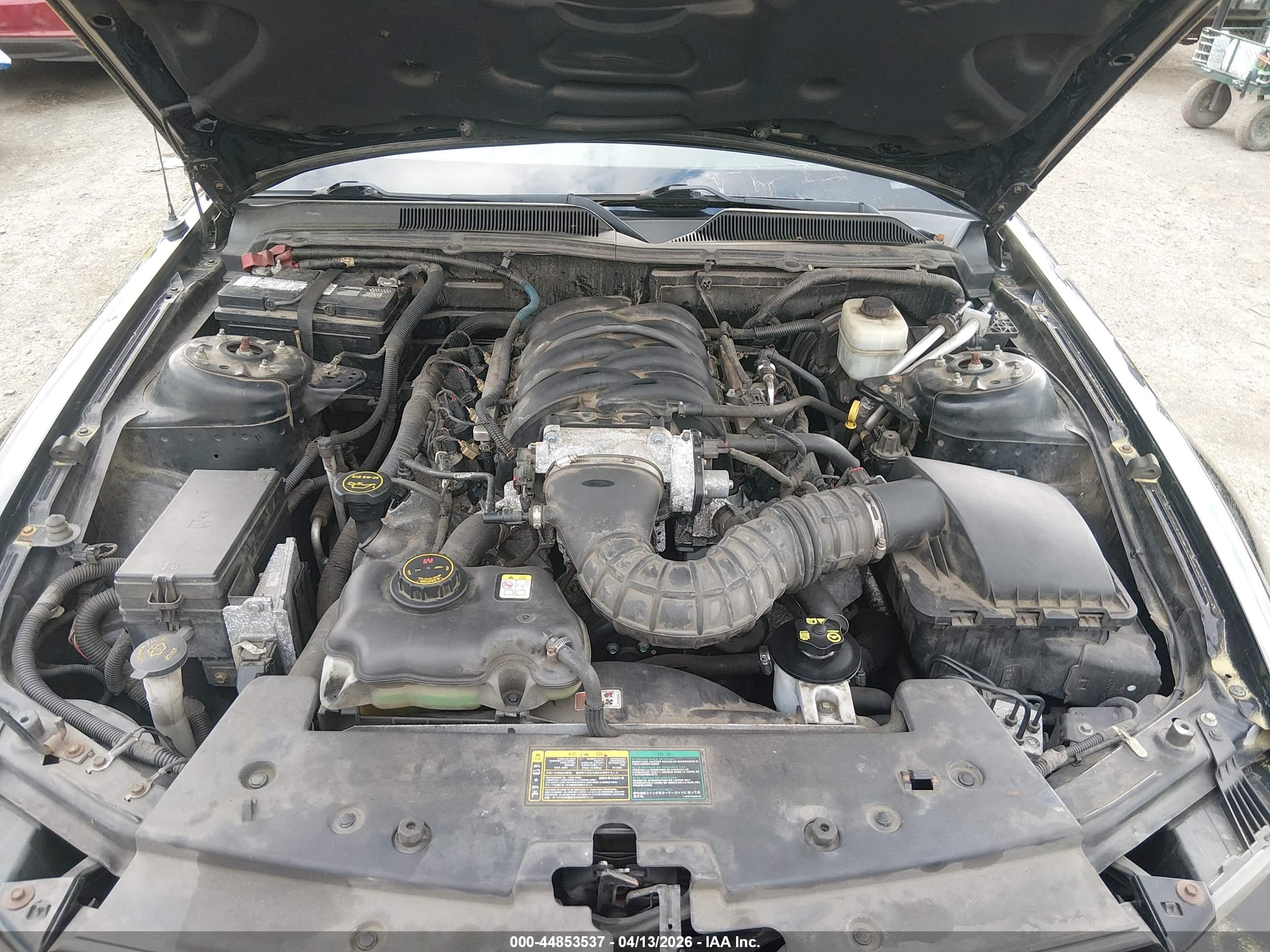 FORD MUSTANG image 10