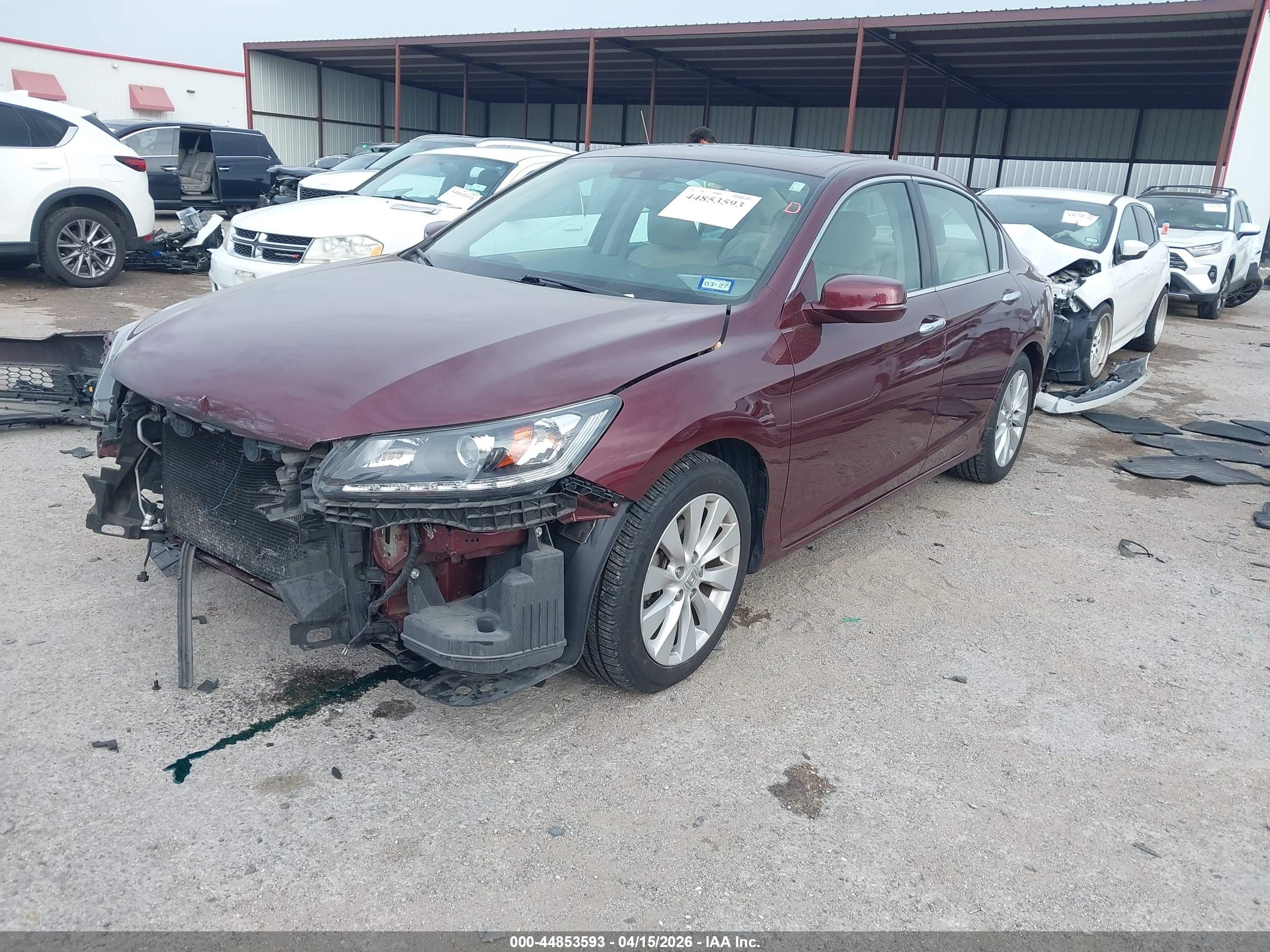 HONDA ACCORD image 2