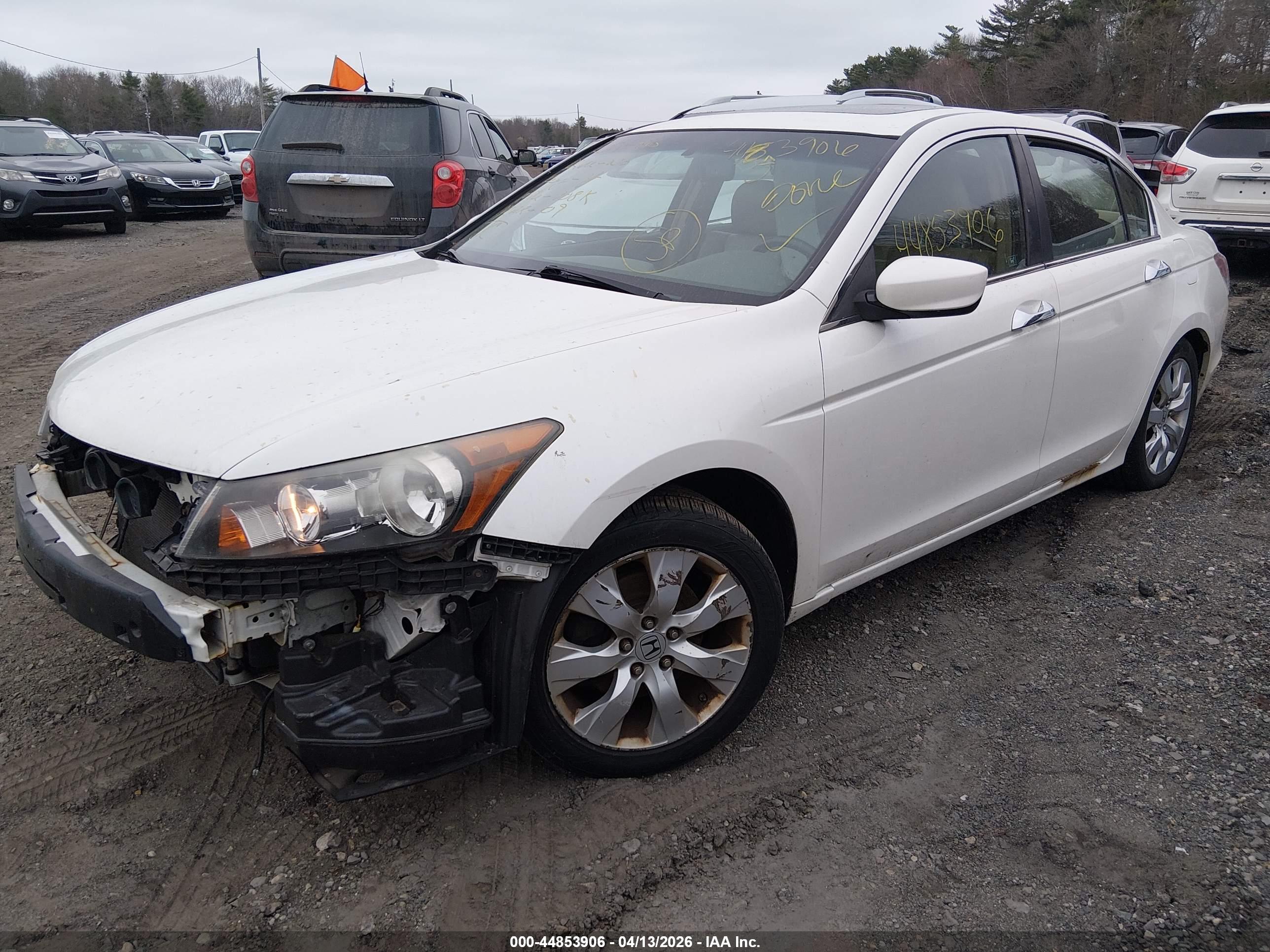HONDA ACCORD image 2