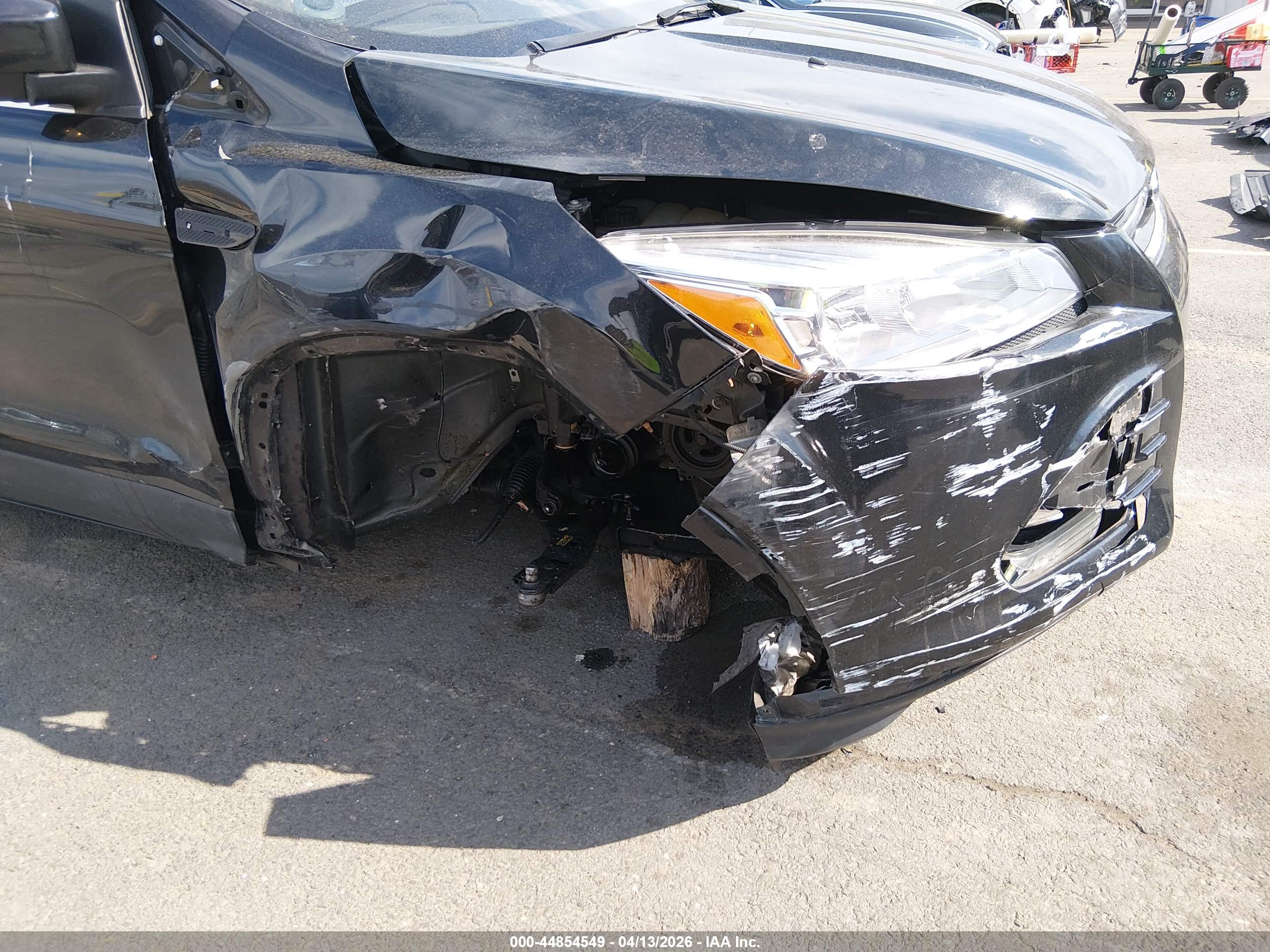 FORD ESCAPE image 6