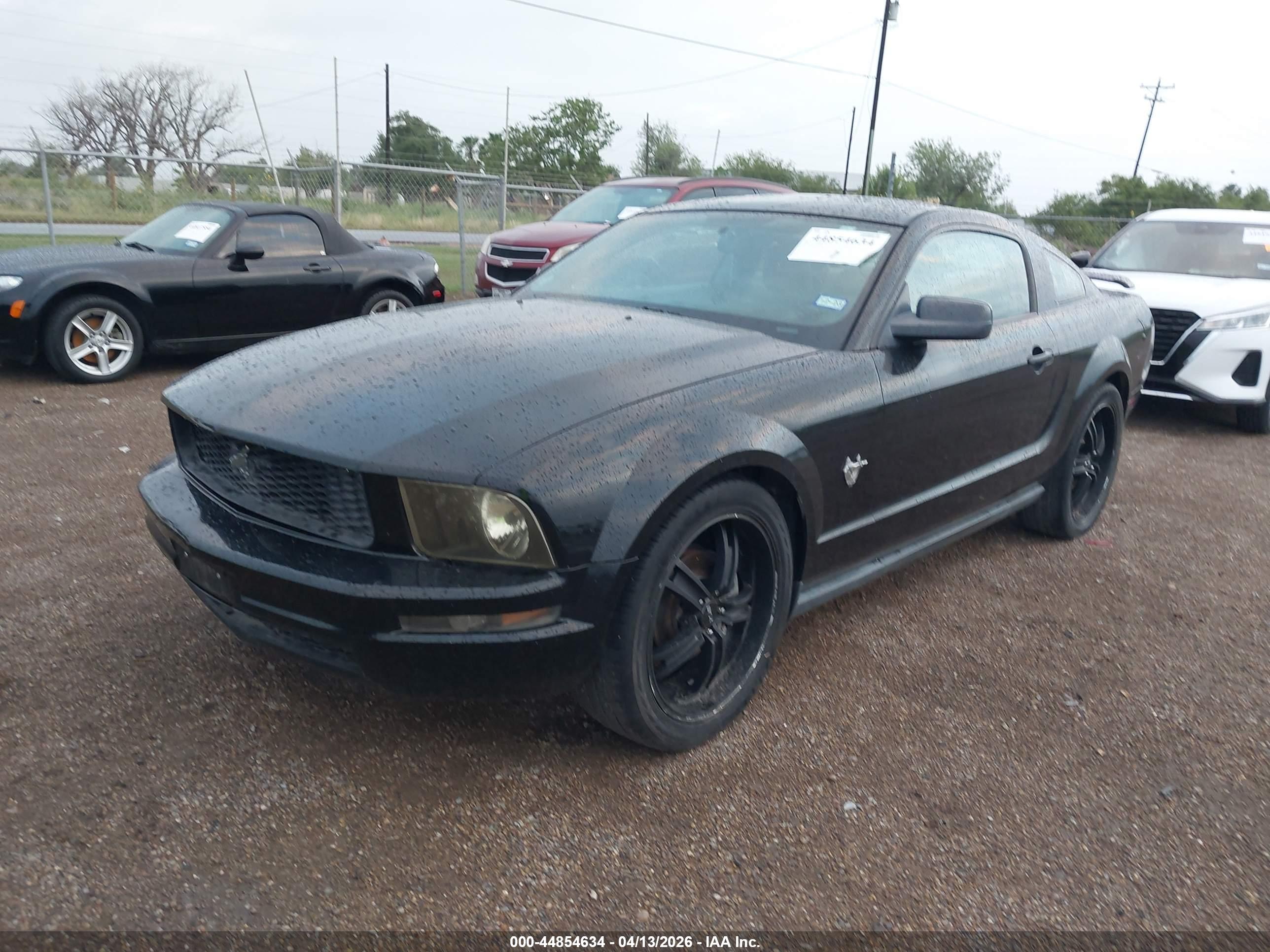 FORD MUSTANG image 2