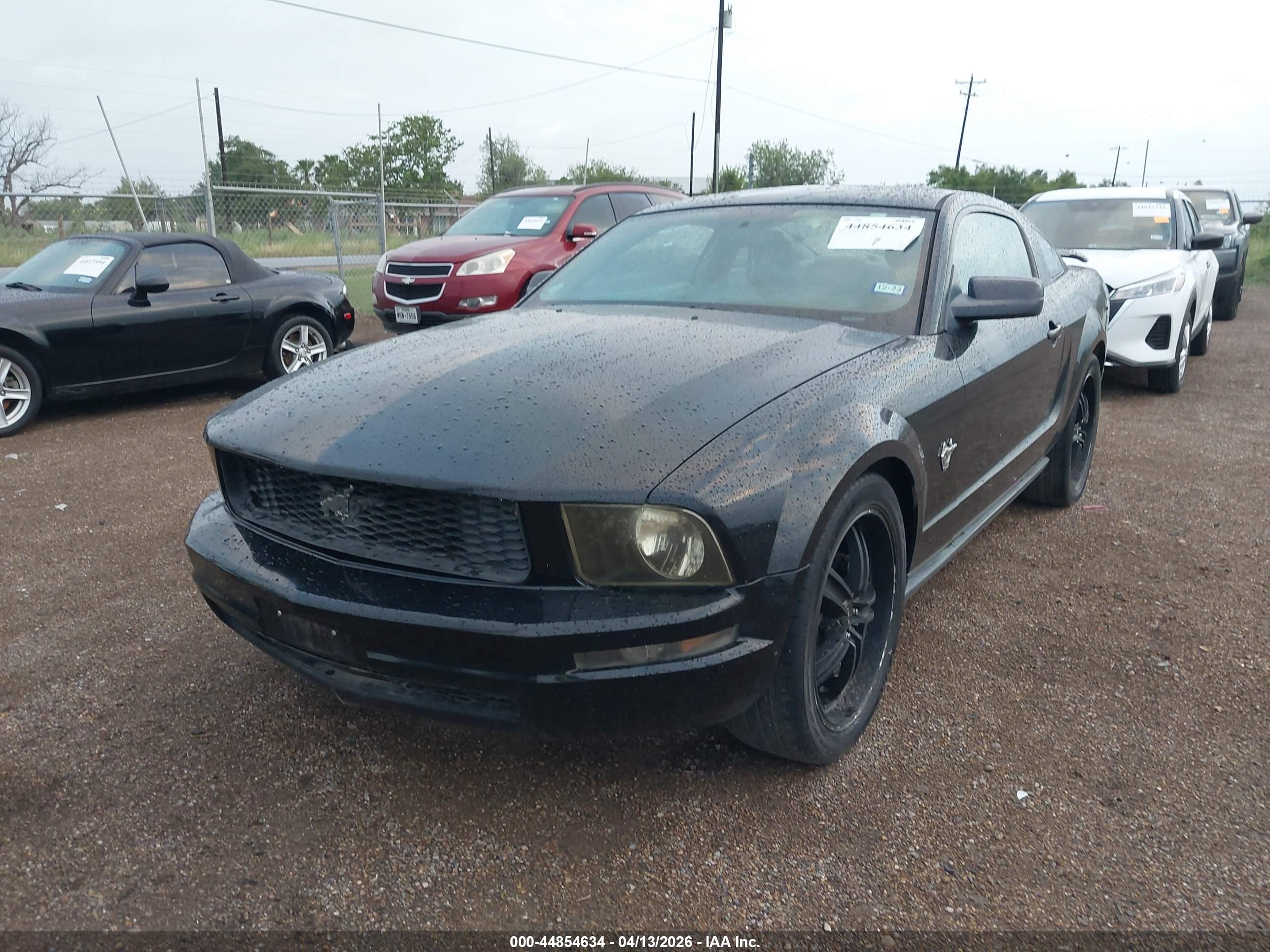 FORD MUSTANG image 6