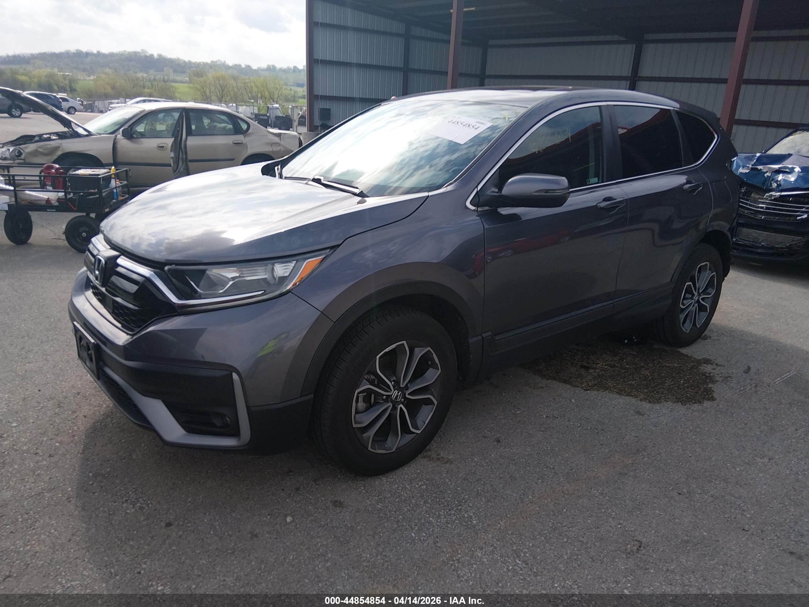 HONDA CR-V image 2