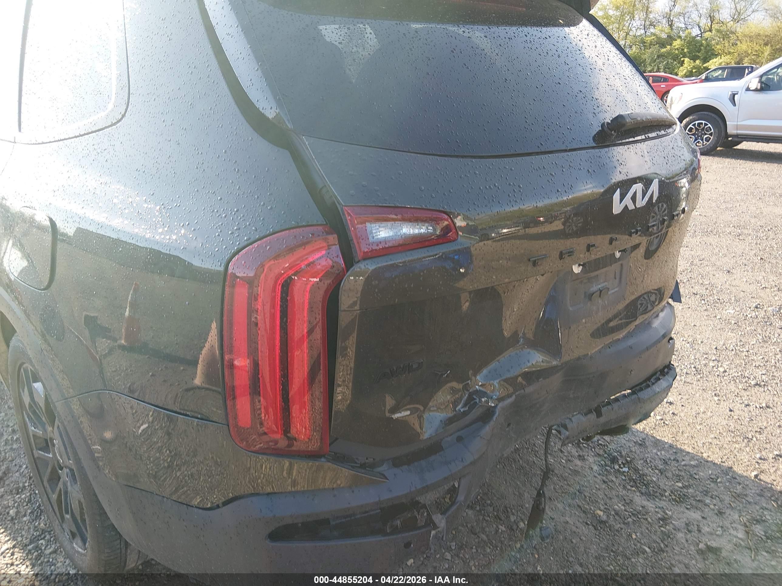 KIA TELLURIDE image 6