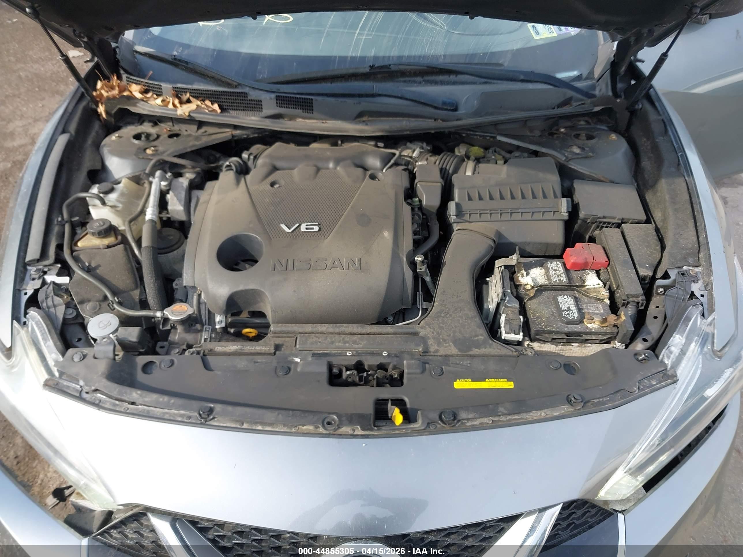 NISSAN MAXIMA image 10