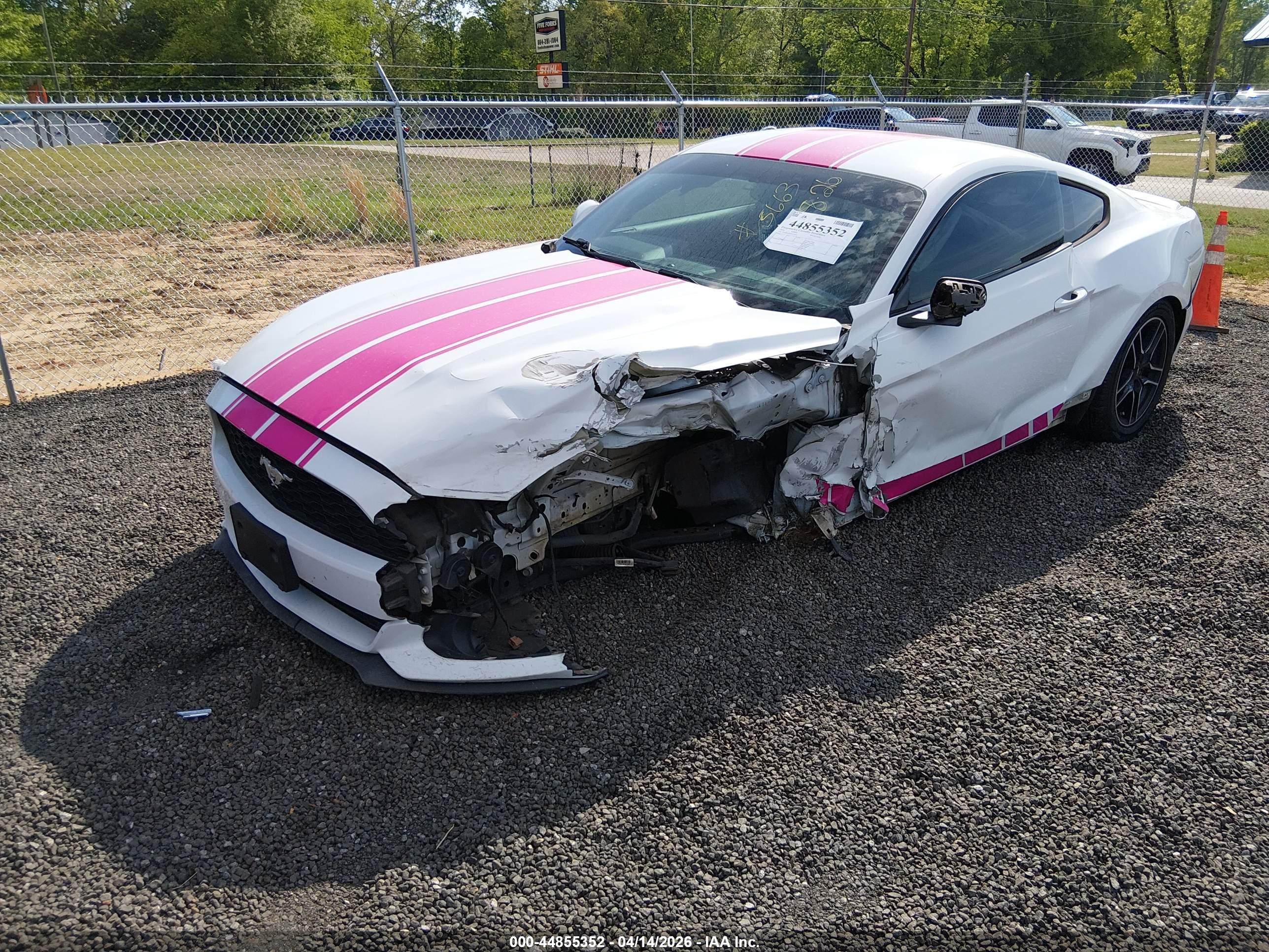 FORD MUSTANG image 2