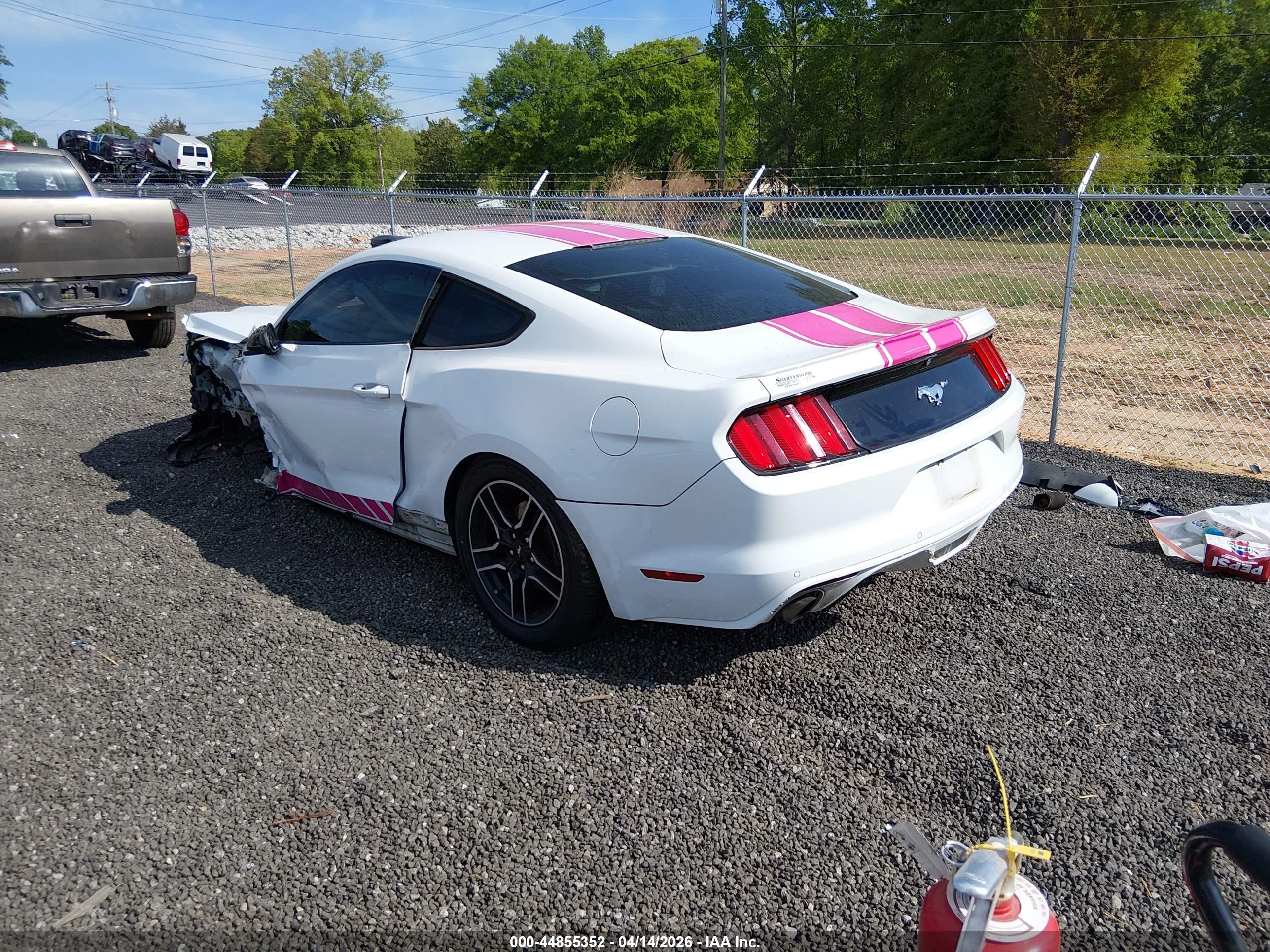 FORD MUSTANG image 3