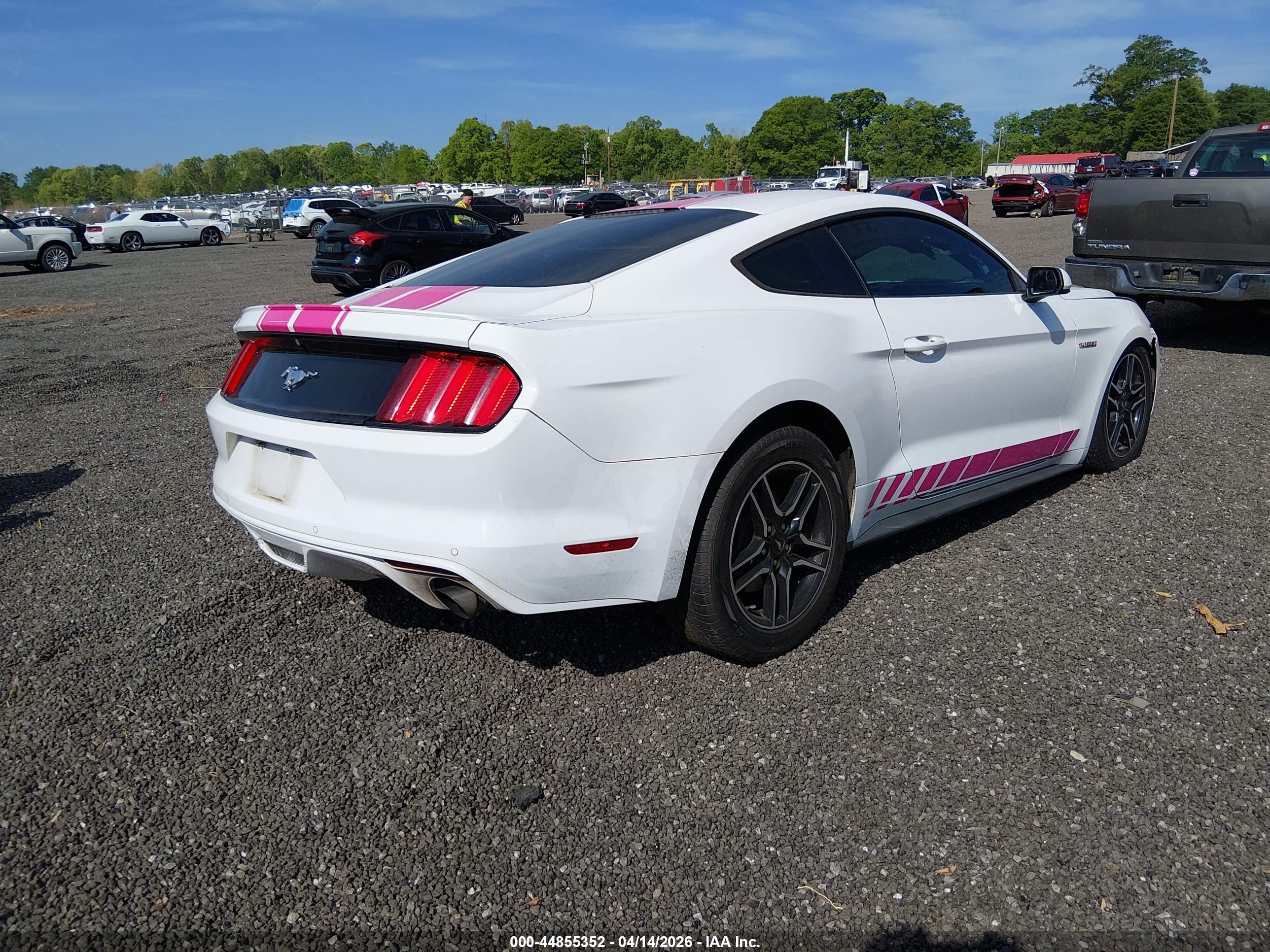 FORD MUSTANG image 4
