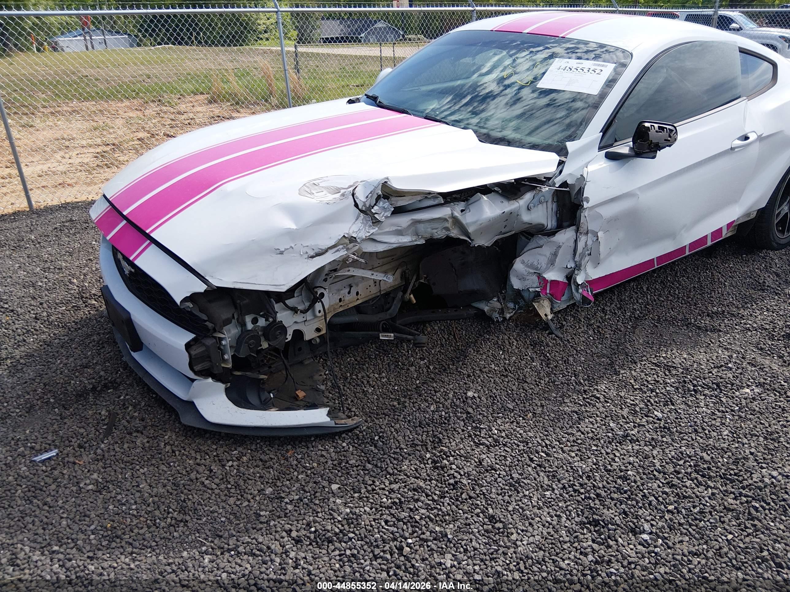 FORD MUSTANG image 6
