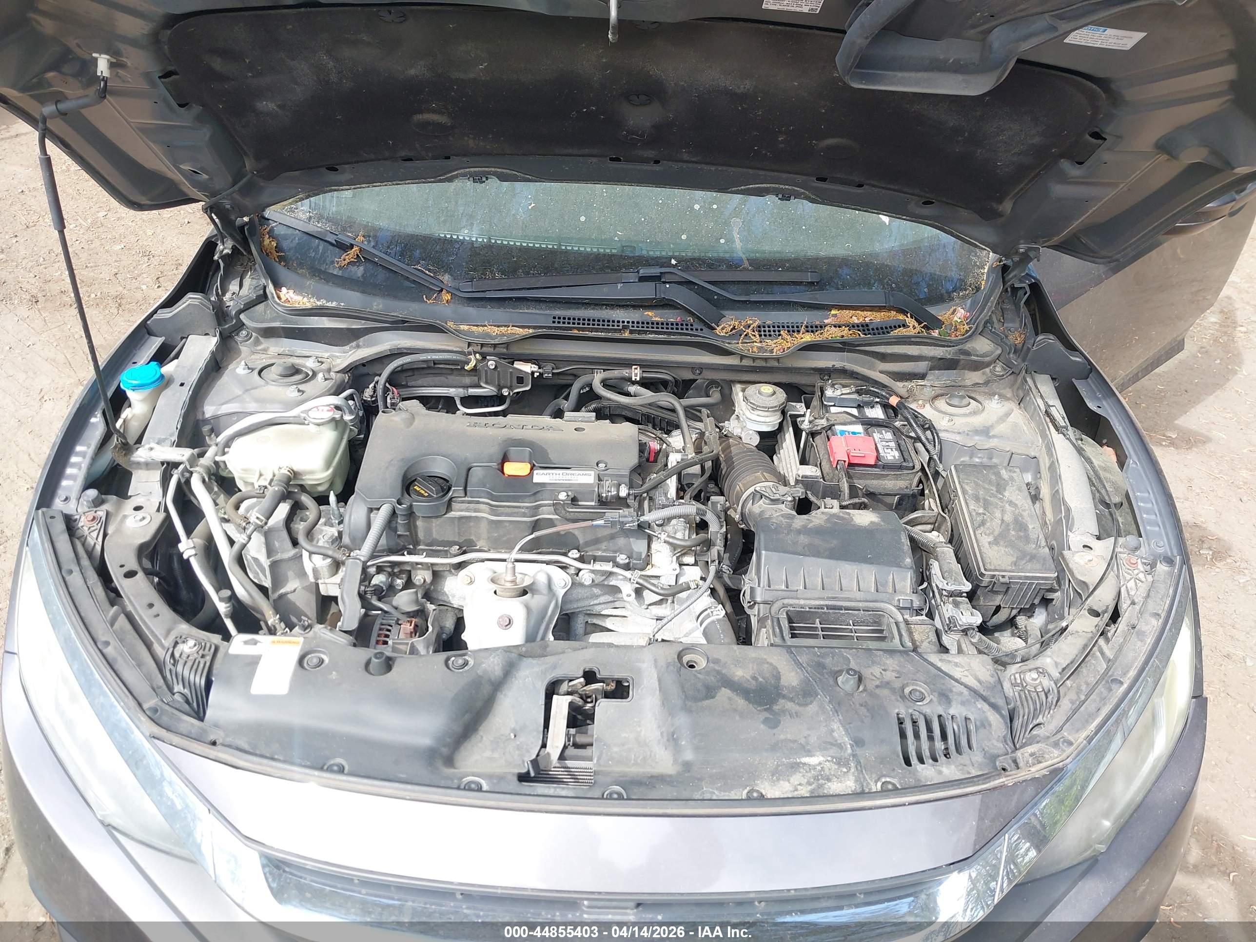 HONDA CIVIC image 10