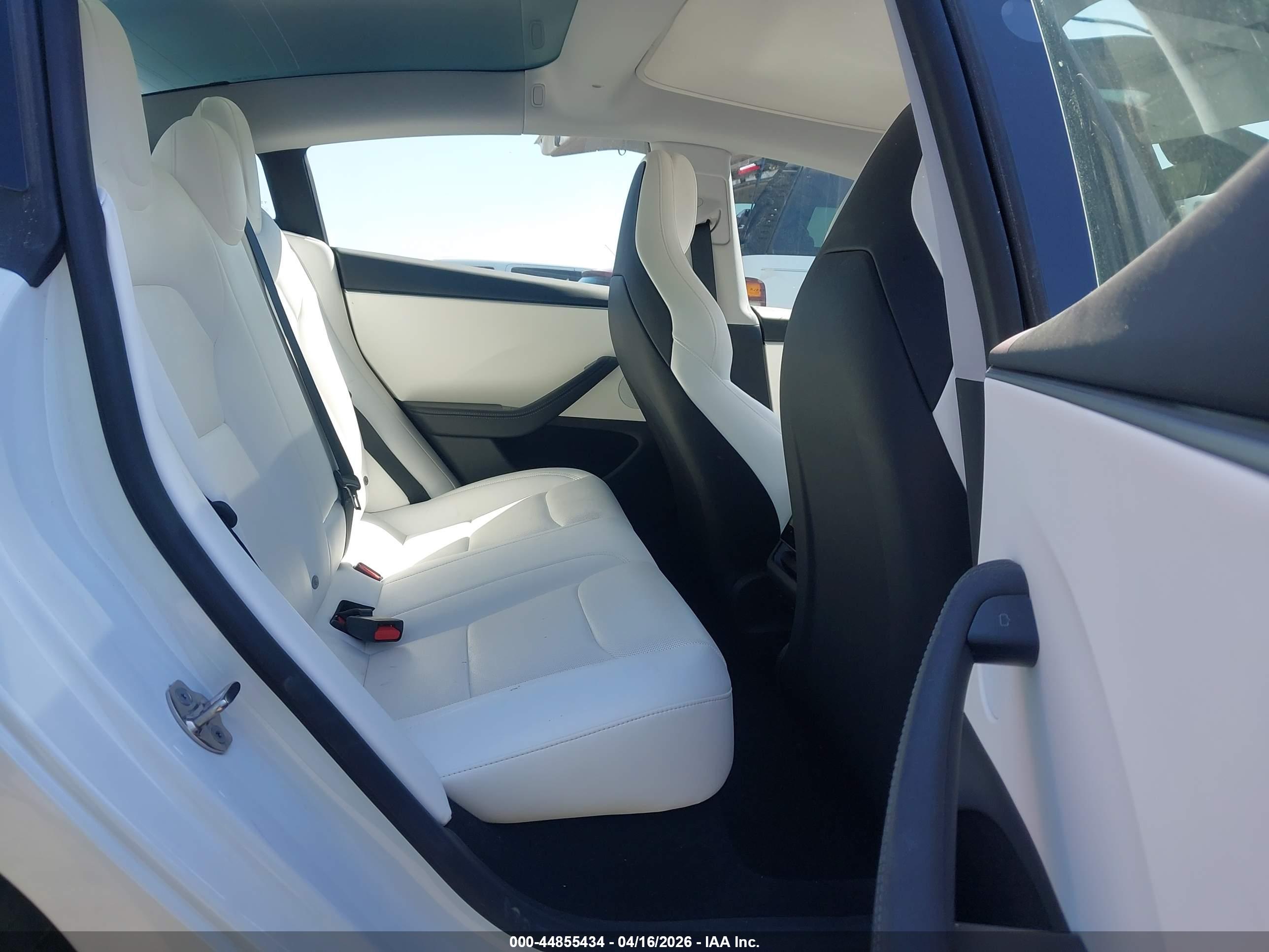 TESLA MODEL image 8