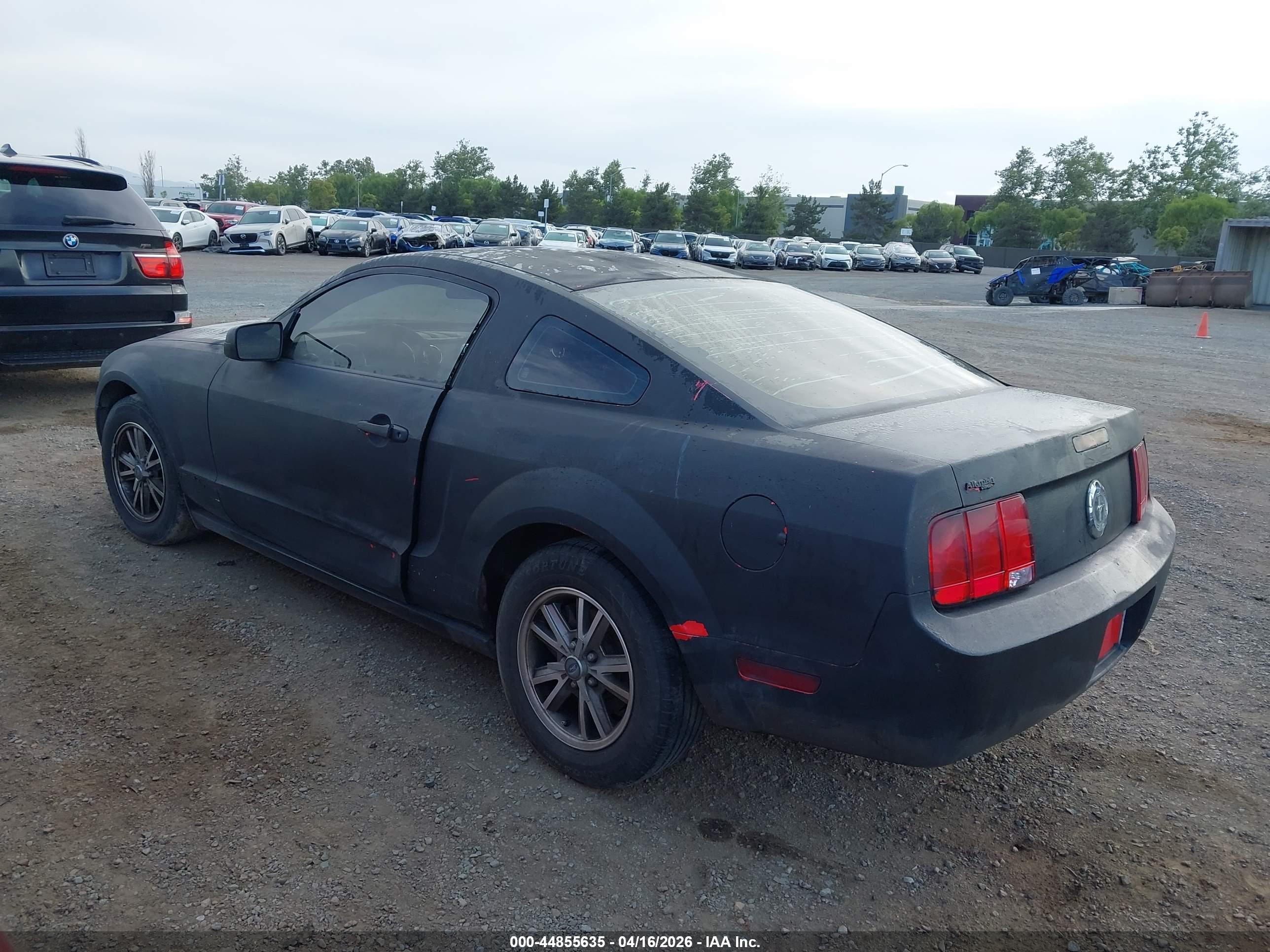 FORD MUSTANG image 3