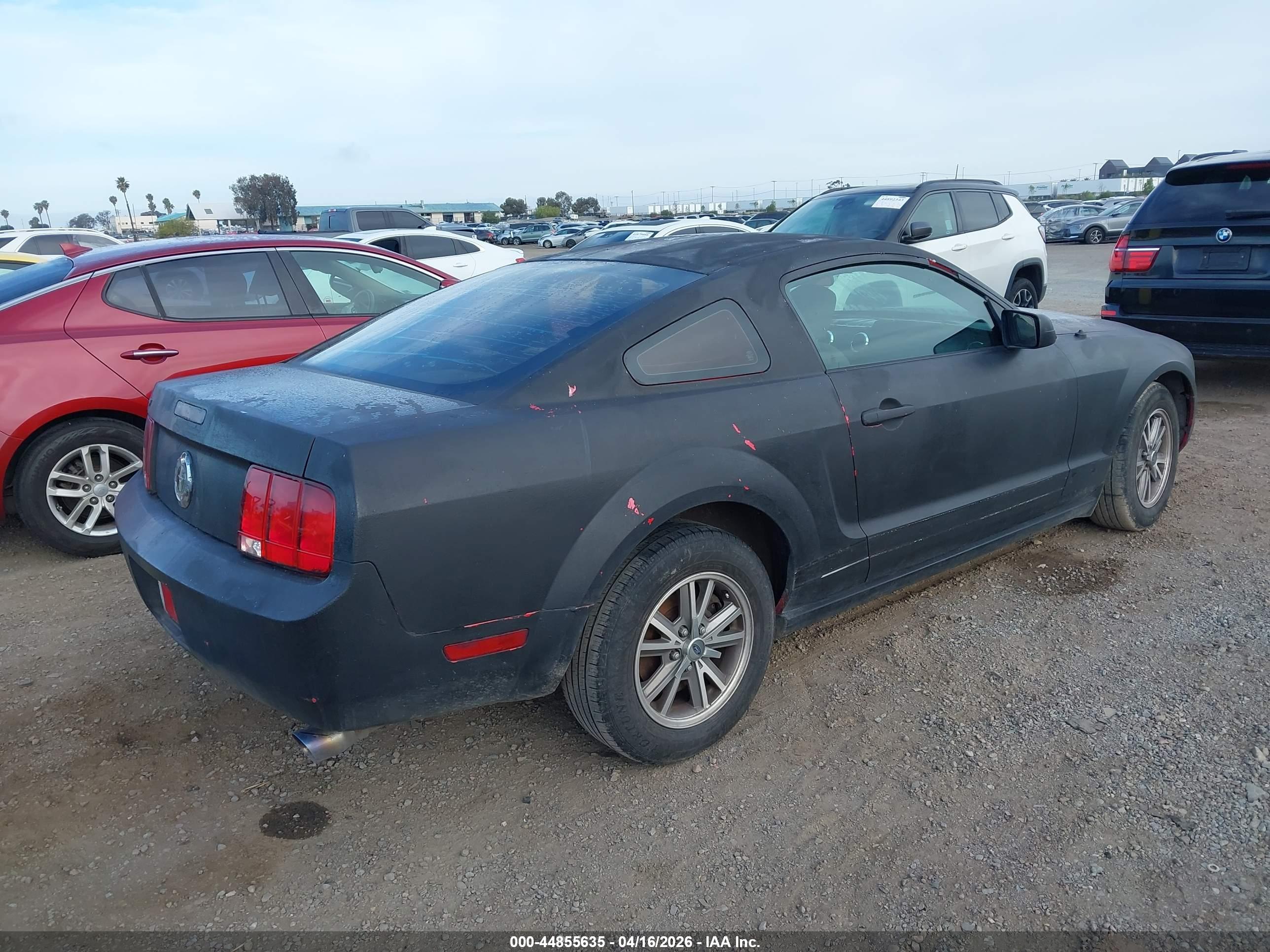 FORD MUSTANG image 4