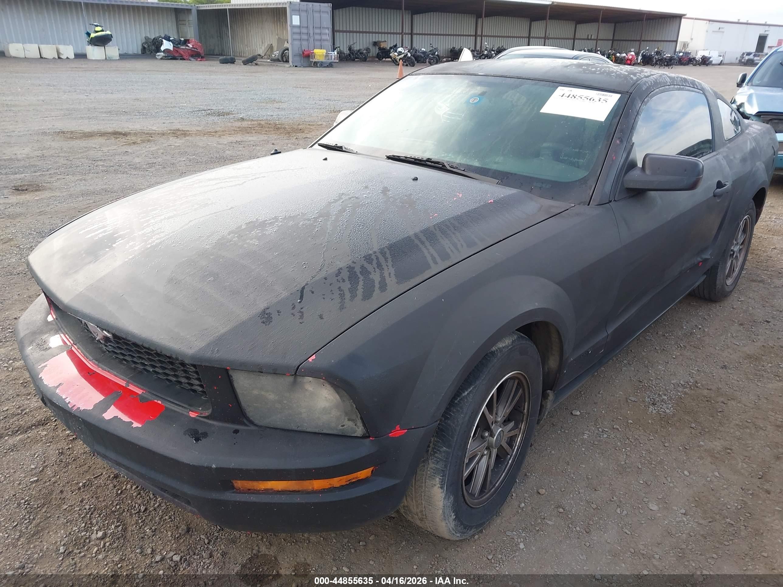 FORD MUSTANG image 6