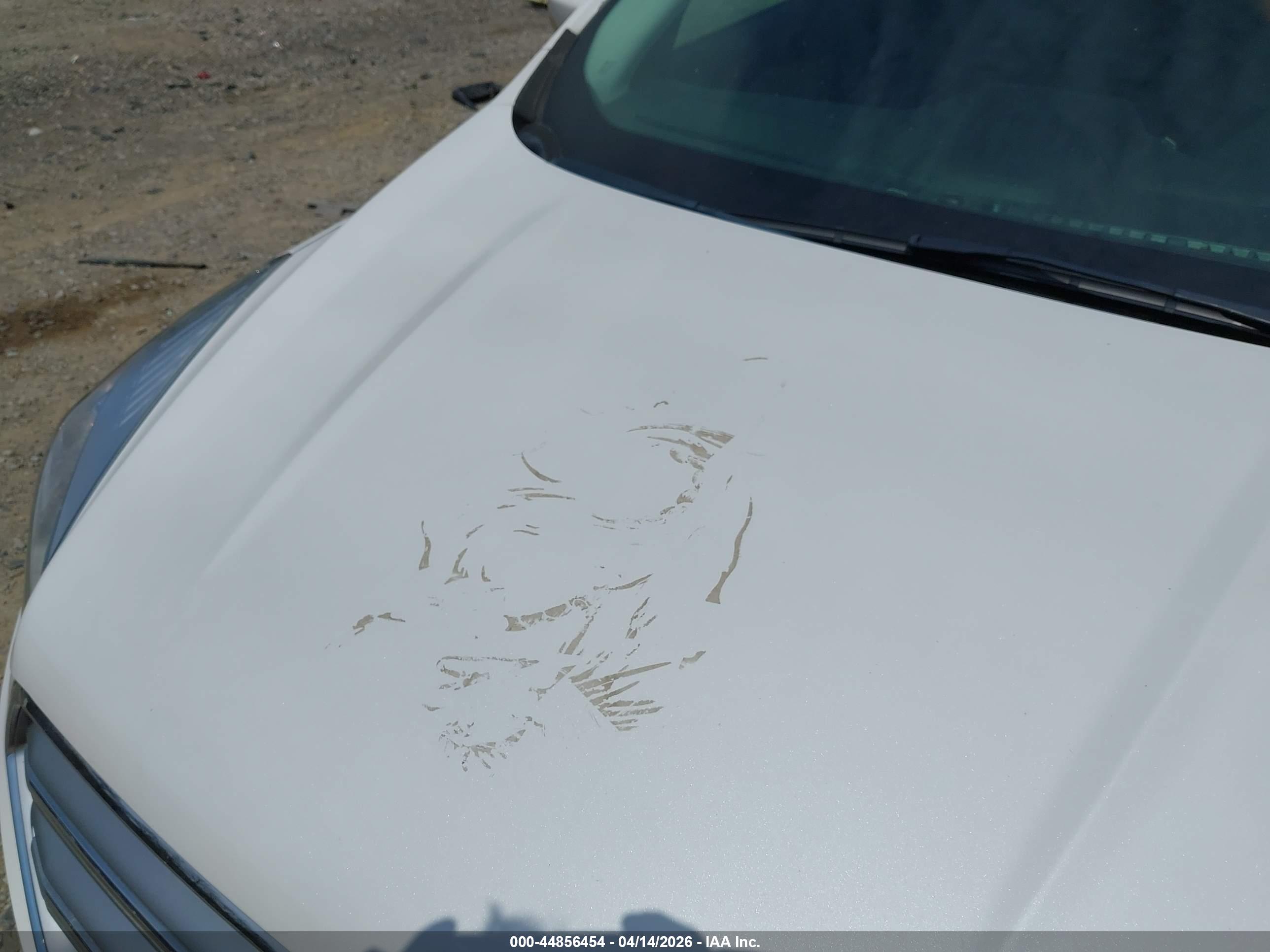 FORD ESCAPE image 6