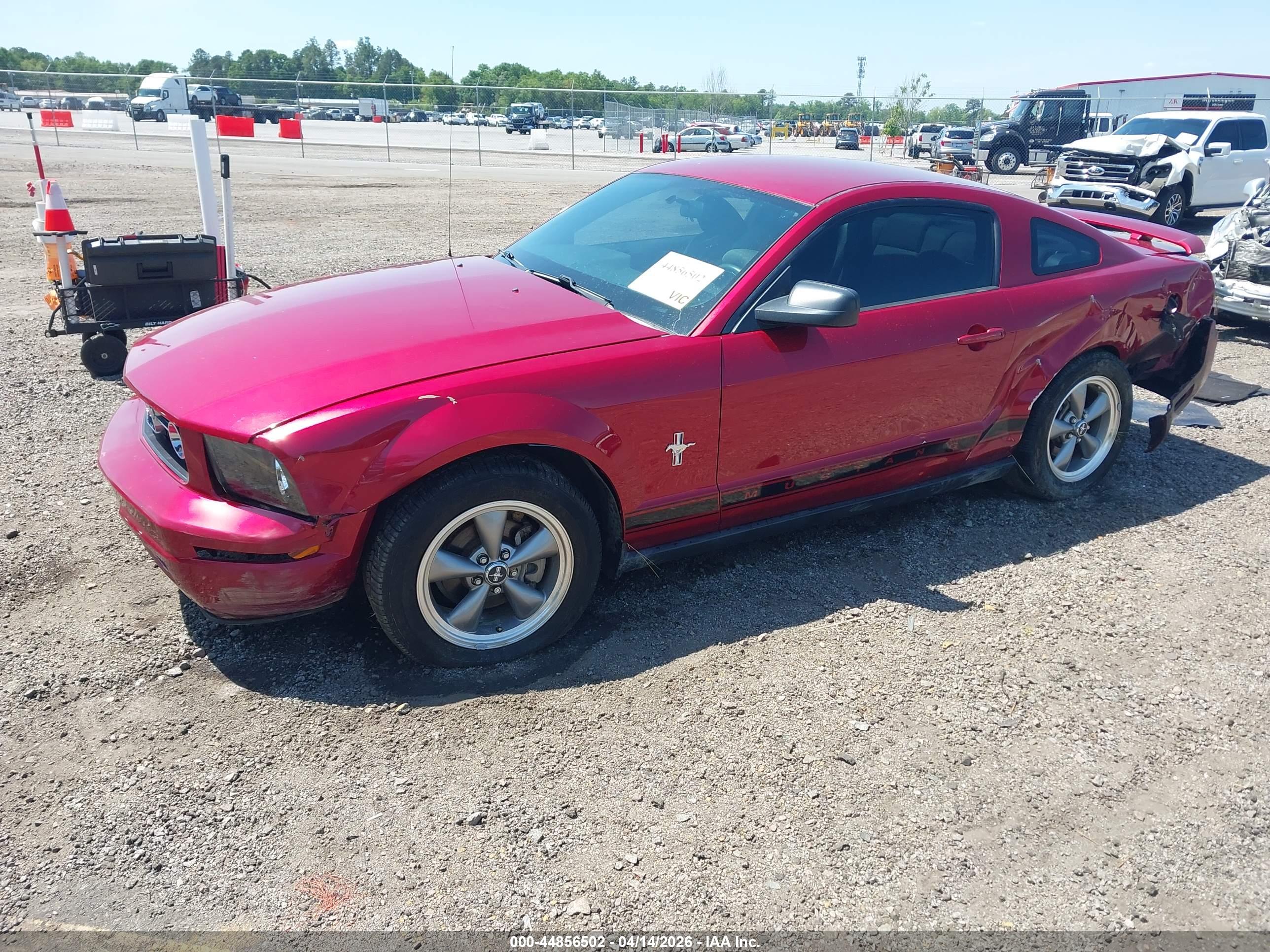 FORD MUSTANG image 2