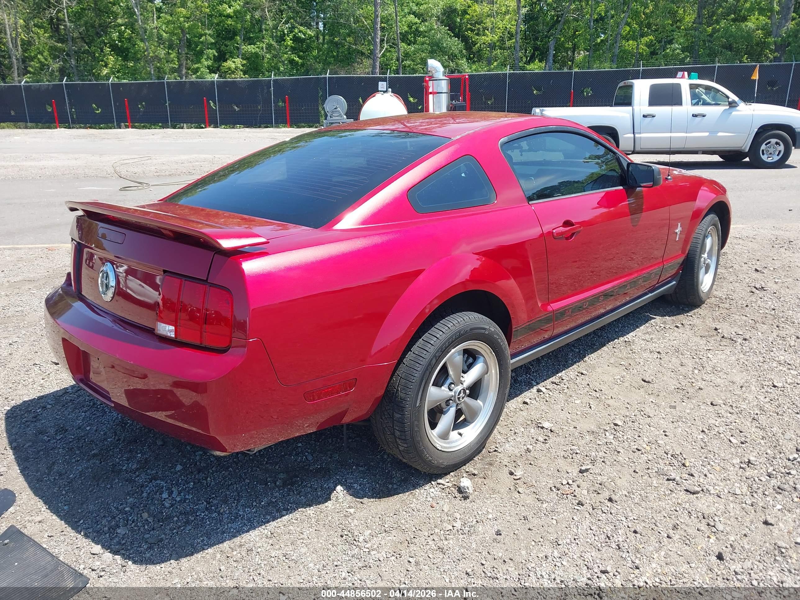 FORD MUSTANG image 4