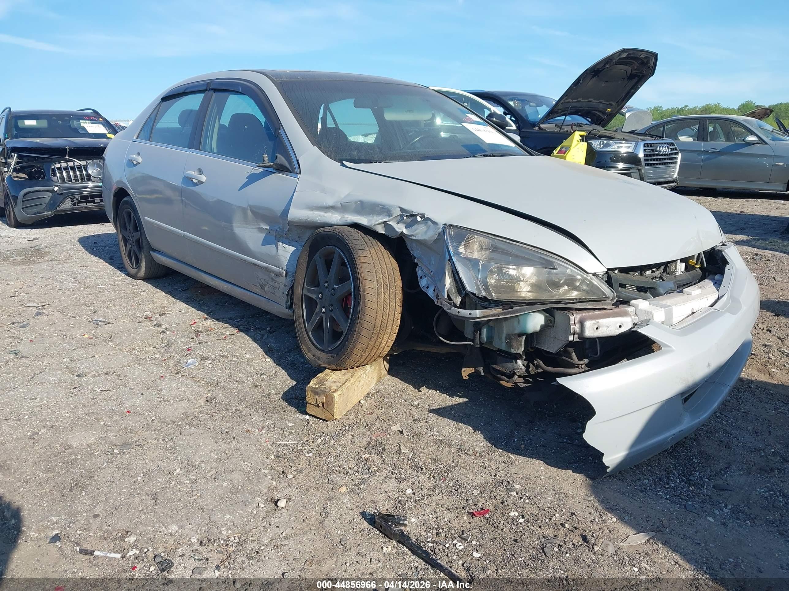 HONDA ACCORD image 6