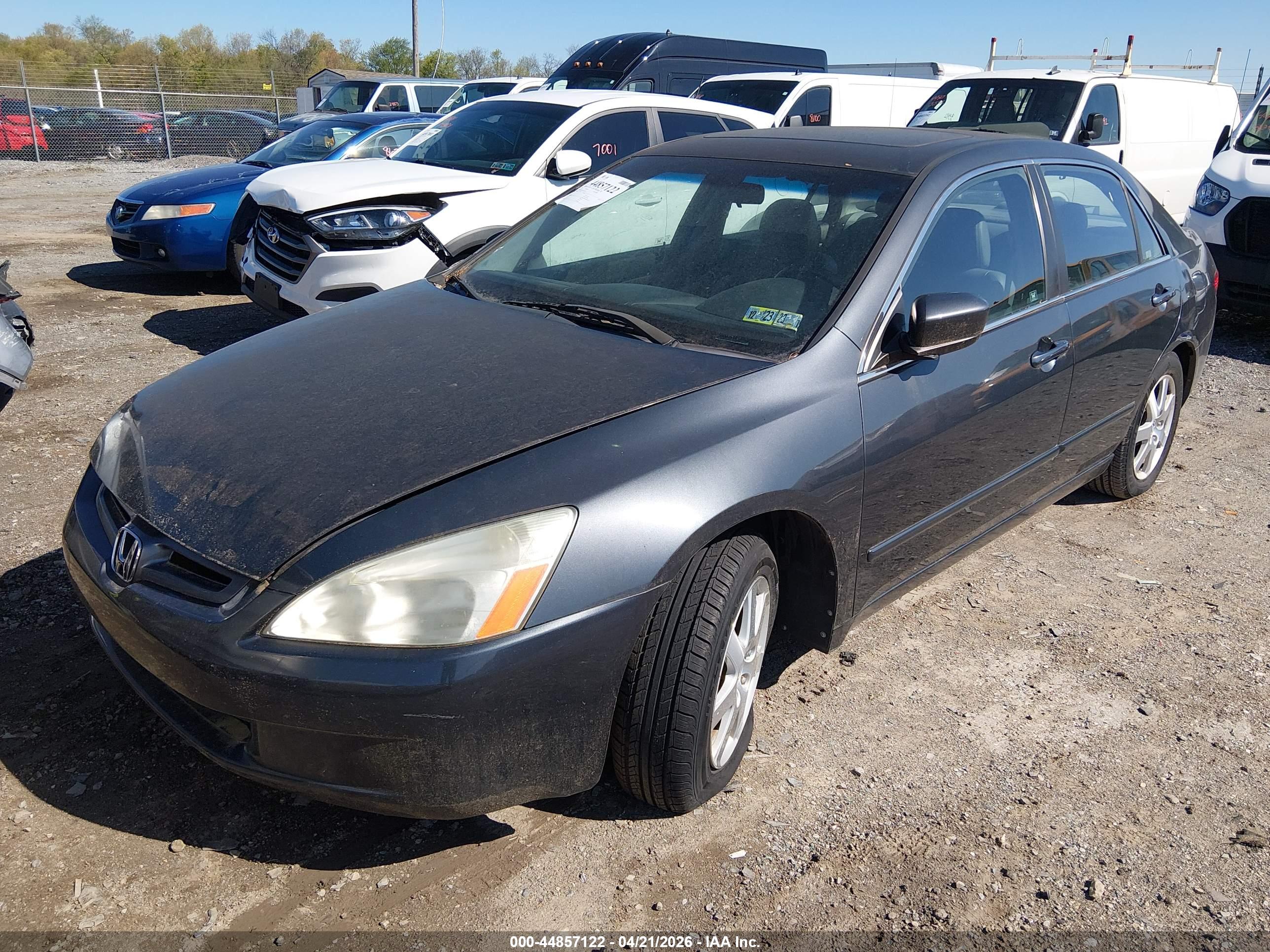HONDA ACCORD image 2