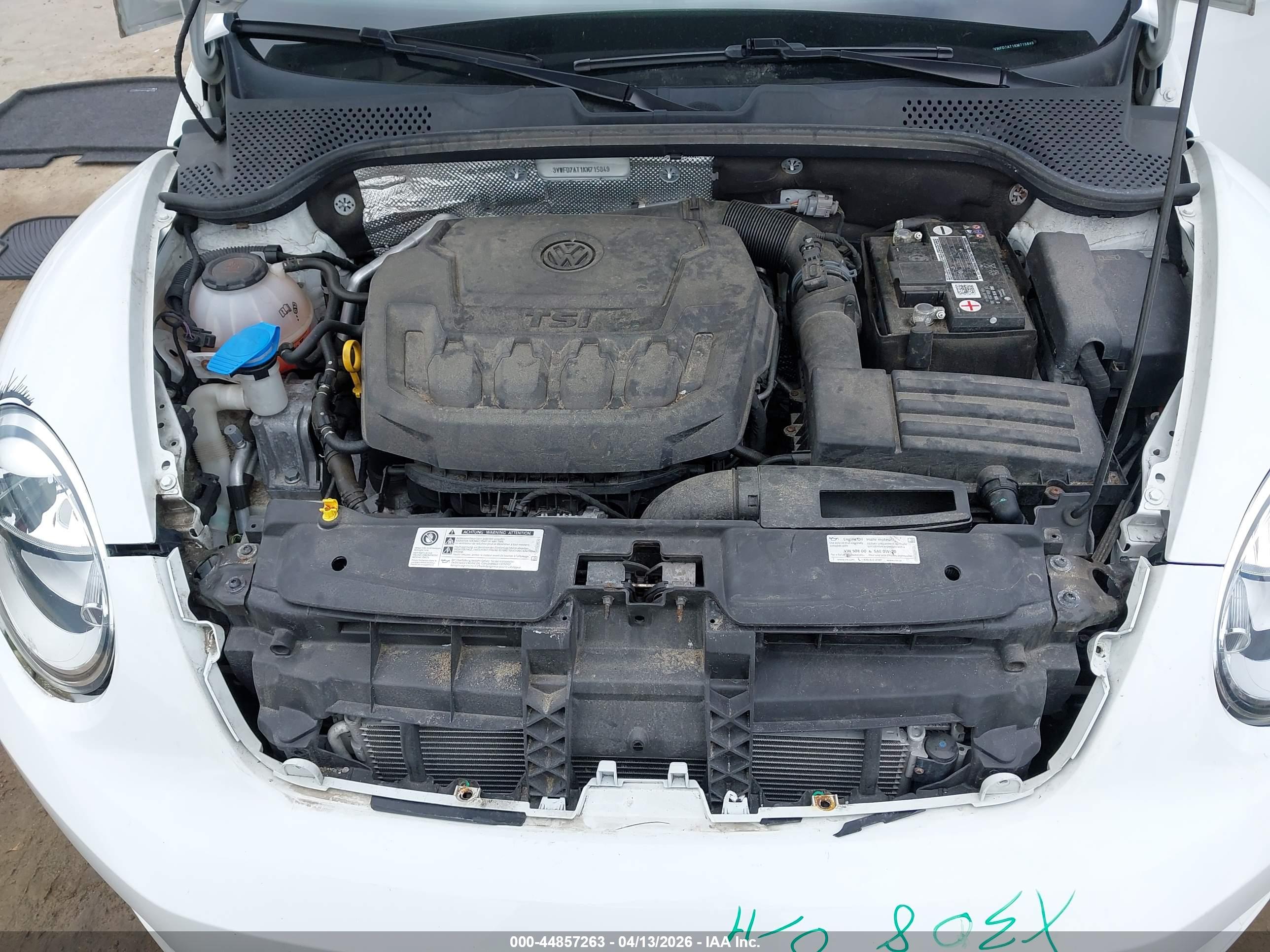 VOLKSWAGEN BEETLE image 10