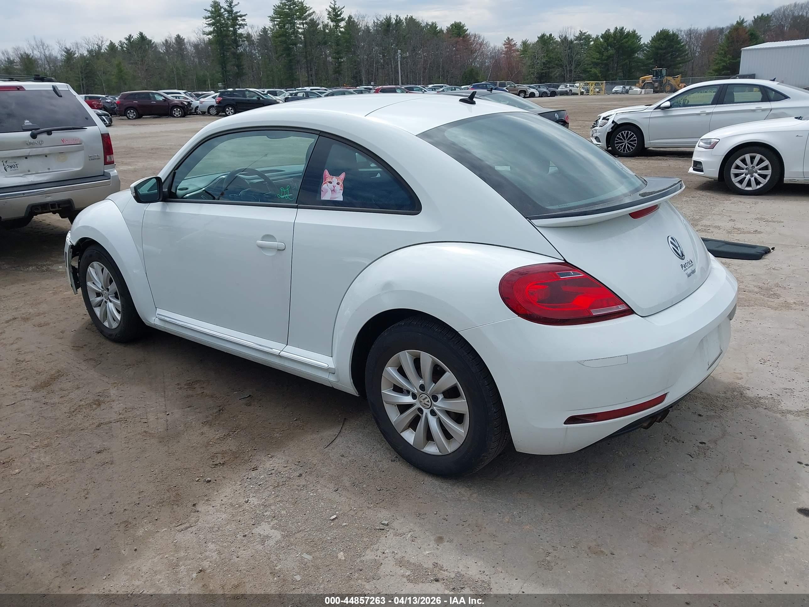 VOLKSWAGEN BEETLE image 3