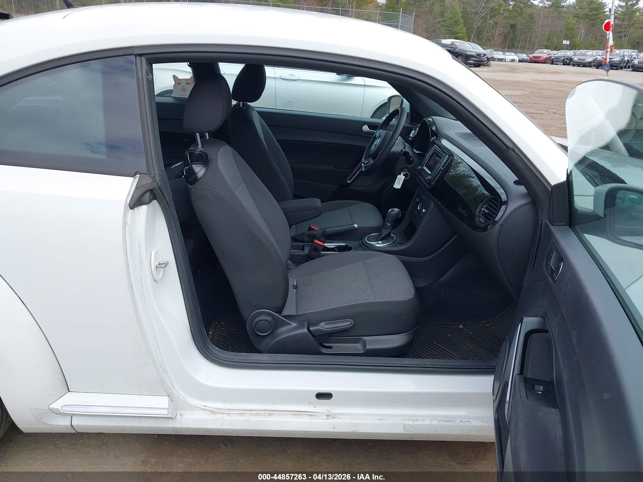 VOLKSWAGEN BEETLE image 5