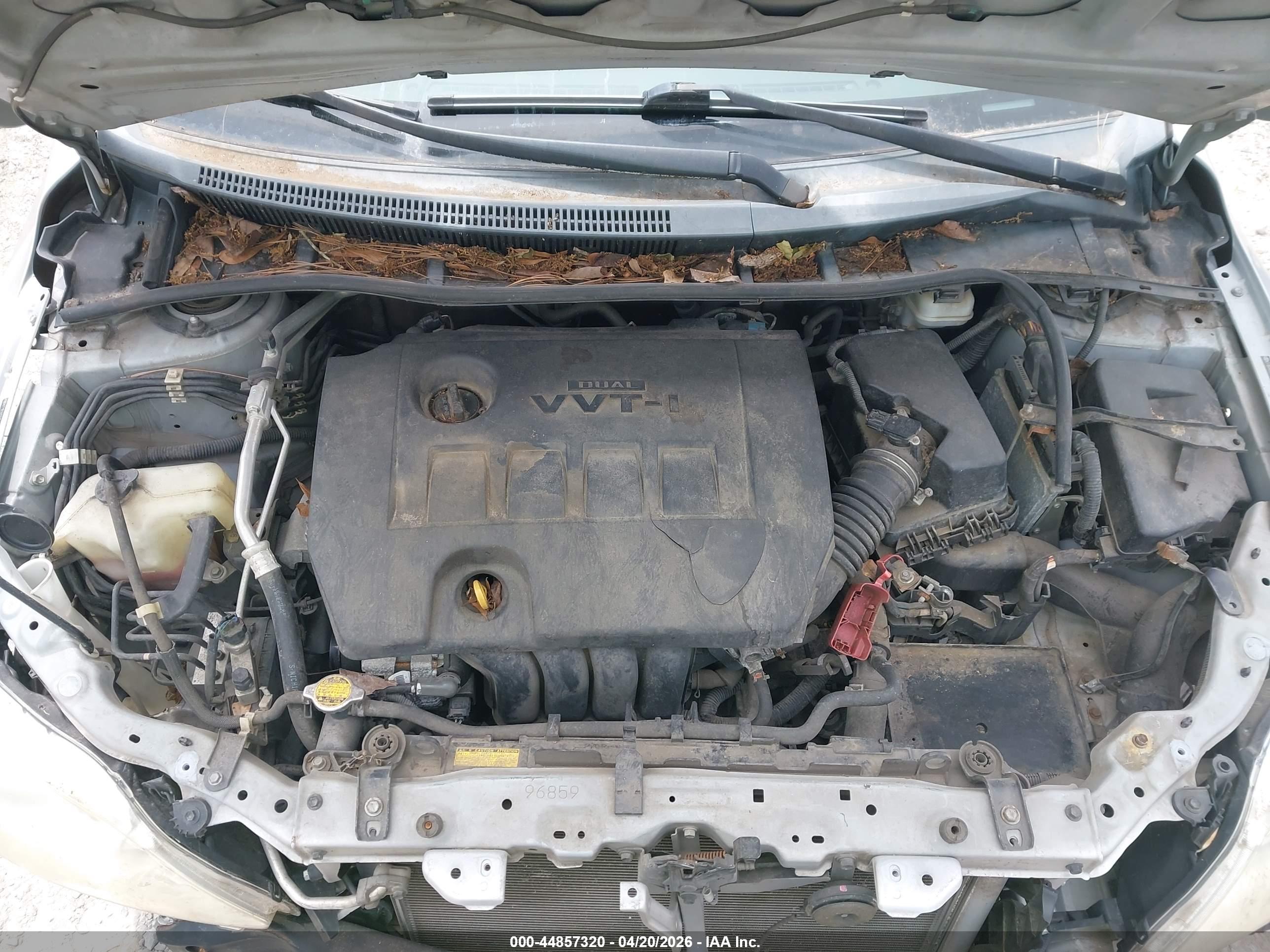TOYOTA COROLLA image 10