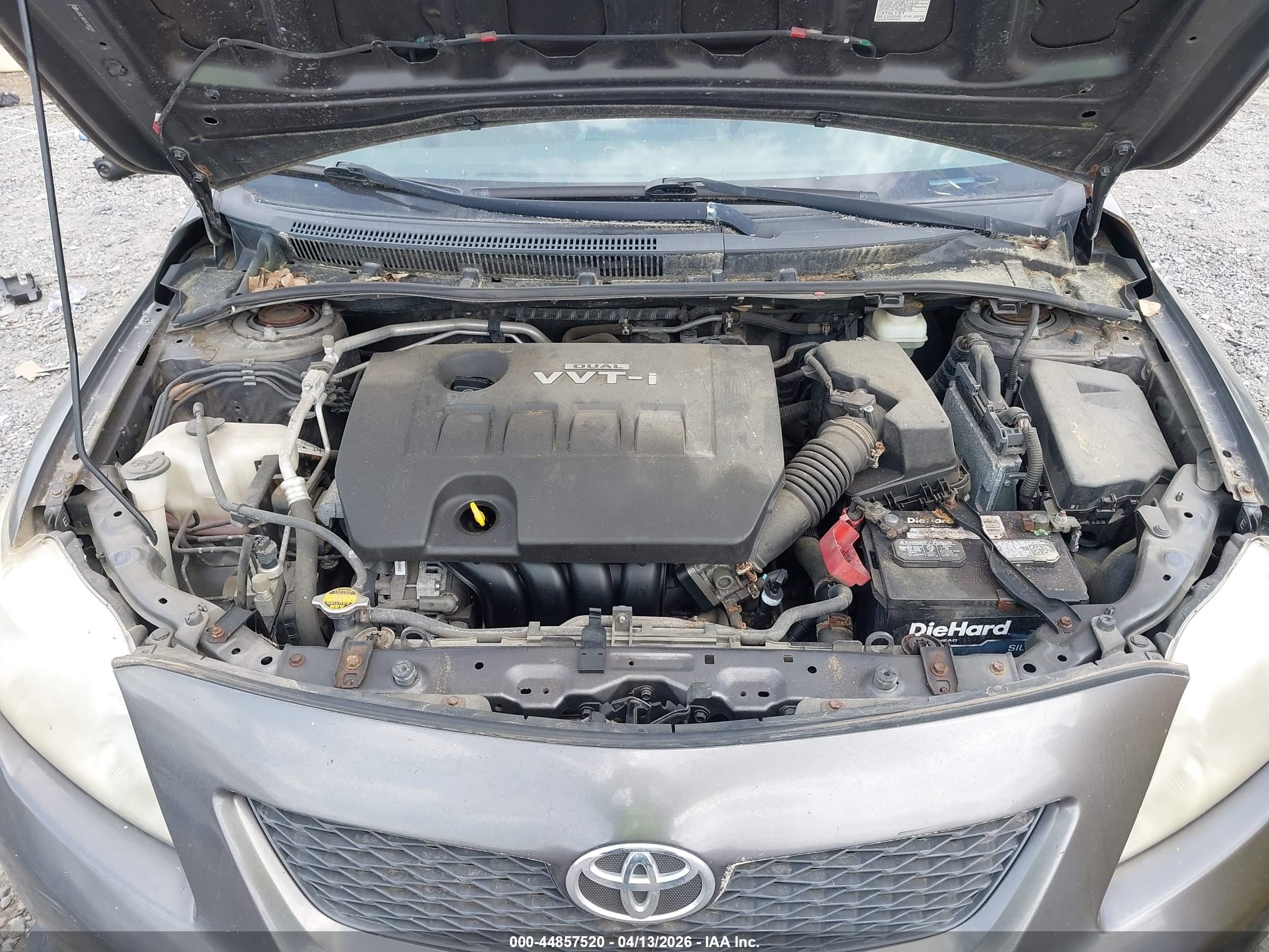 TOYOTA COROLLA image 10