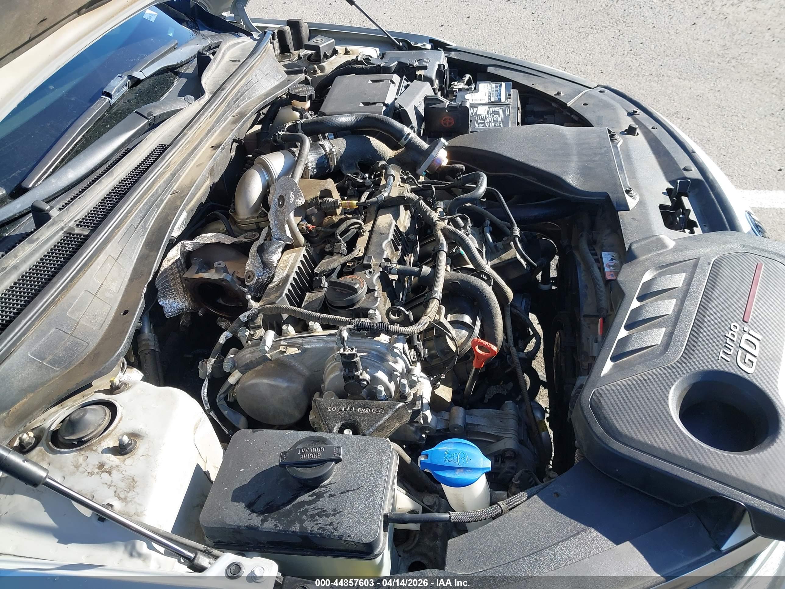 KIA OPTIMA image 10