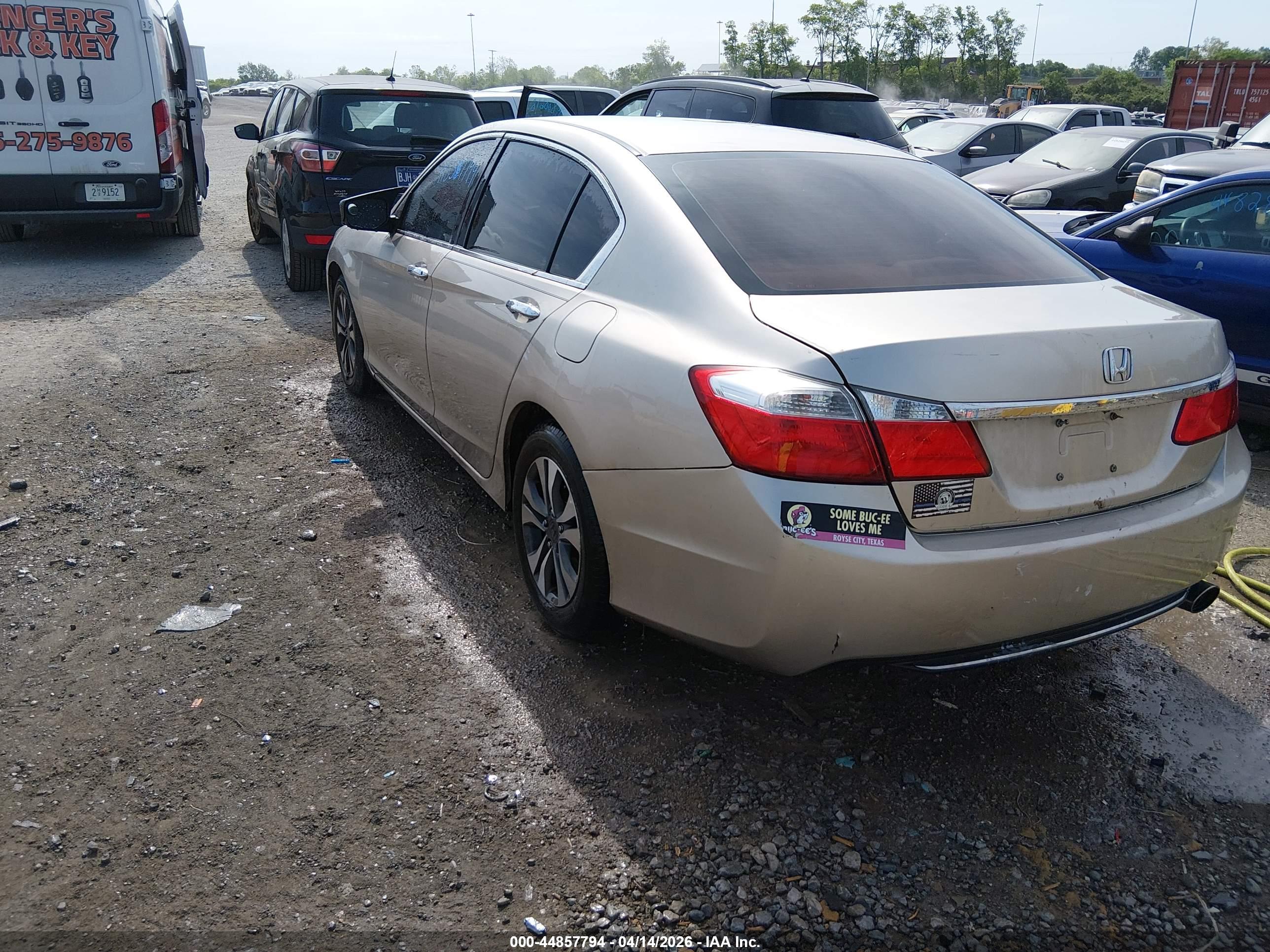 HONDA ACCORD image 3