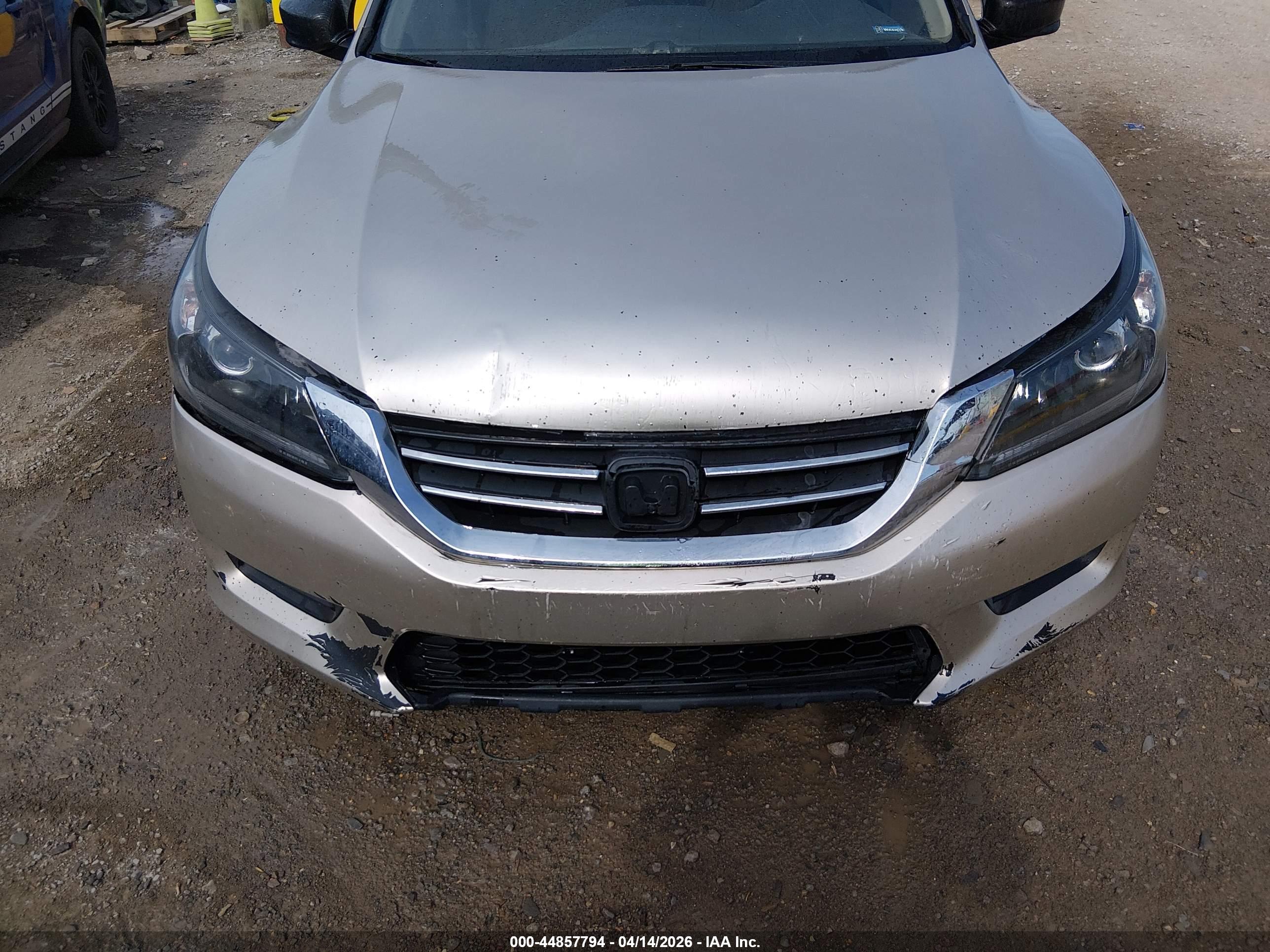 HONDA ACCORD image 6