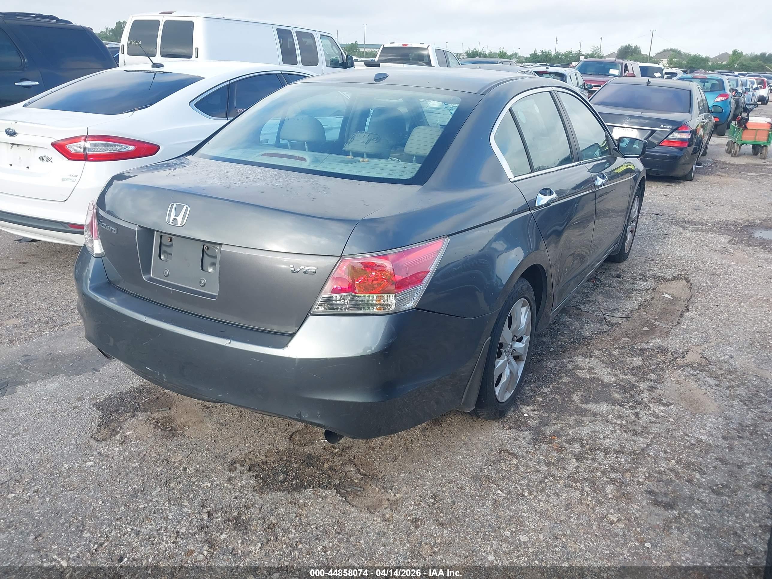 HONDA ACCORD image 4